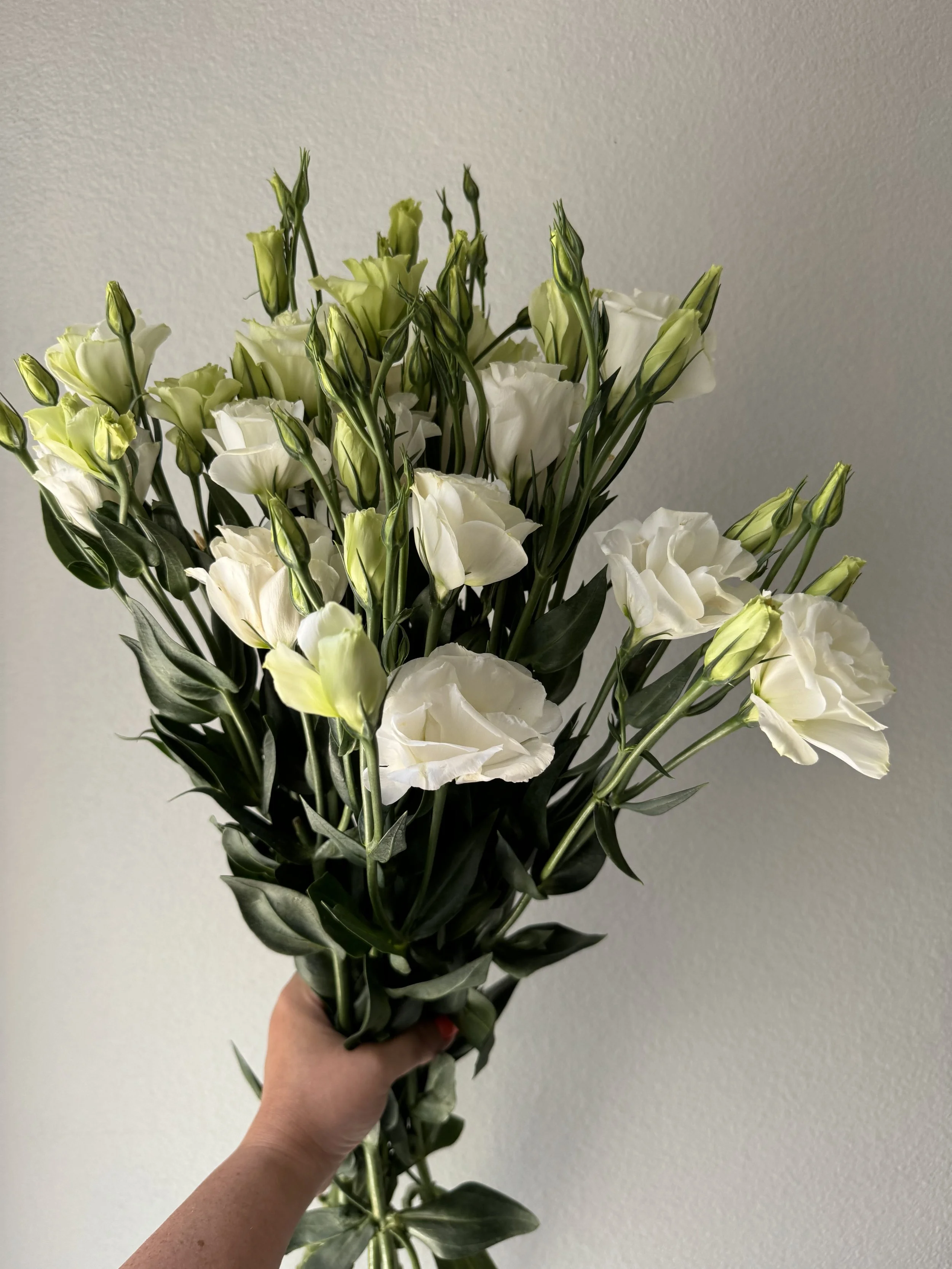 lisianthus_9100.JPG