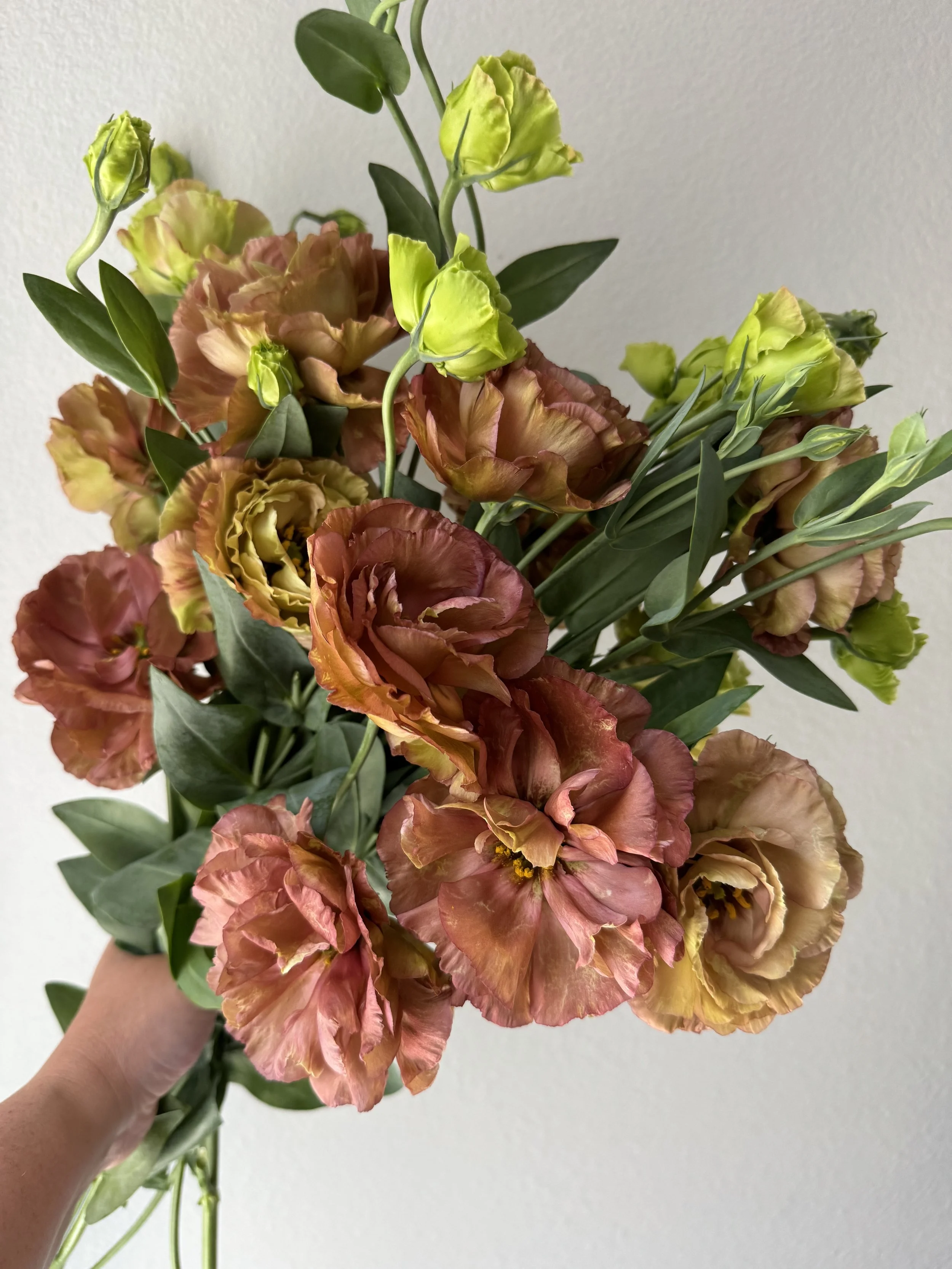 lisianthus_9115.JPG