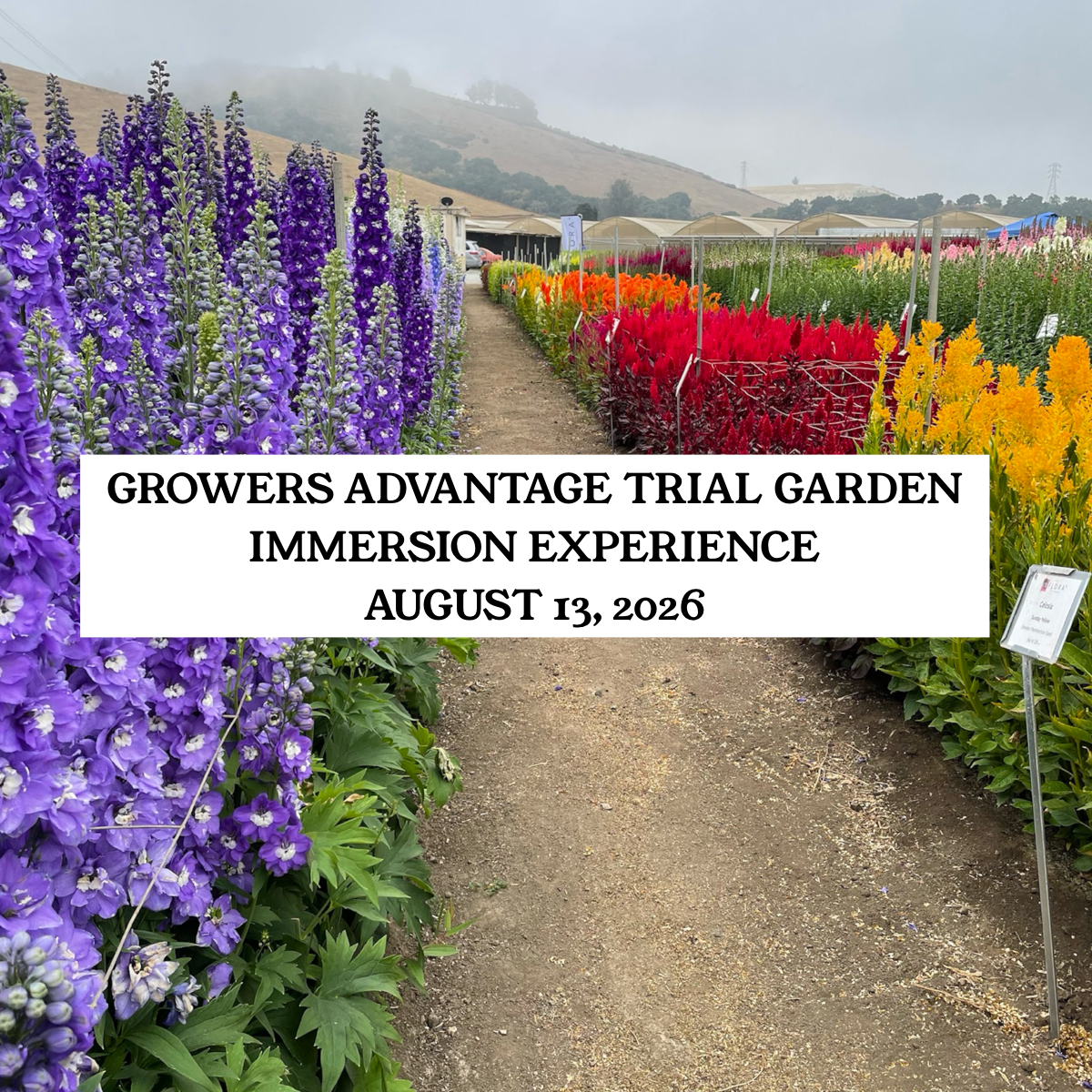Trial Garden Immersion Experience