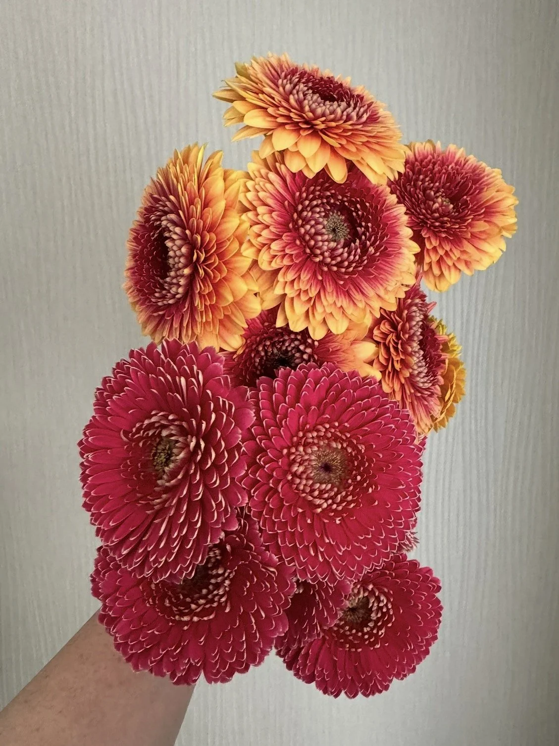02260884-609D-4A50-AD90-EB7158120142.jpeg
