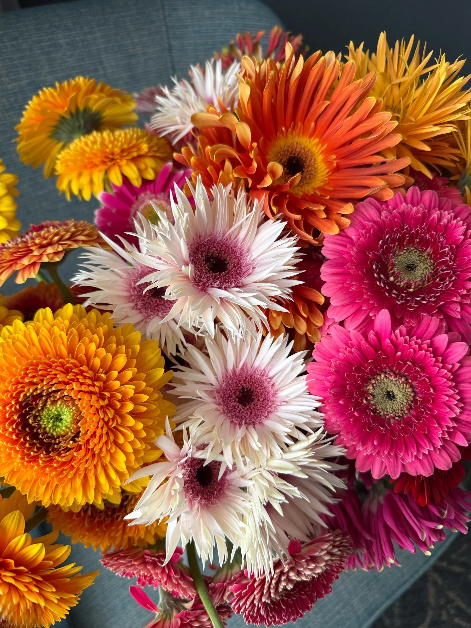 Gerbera Novelty Box
