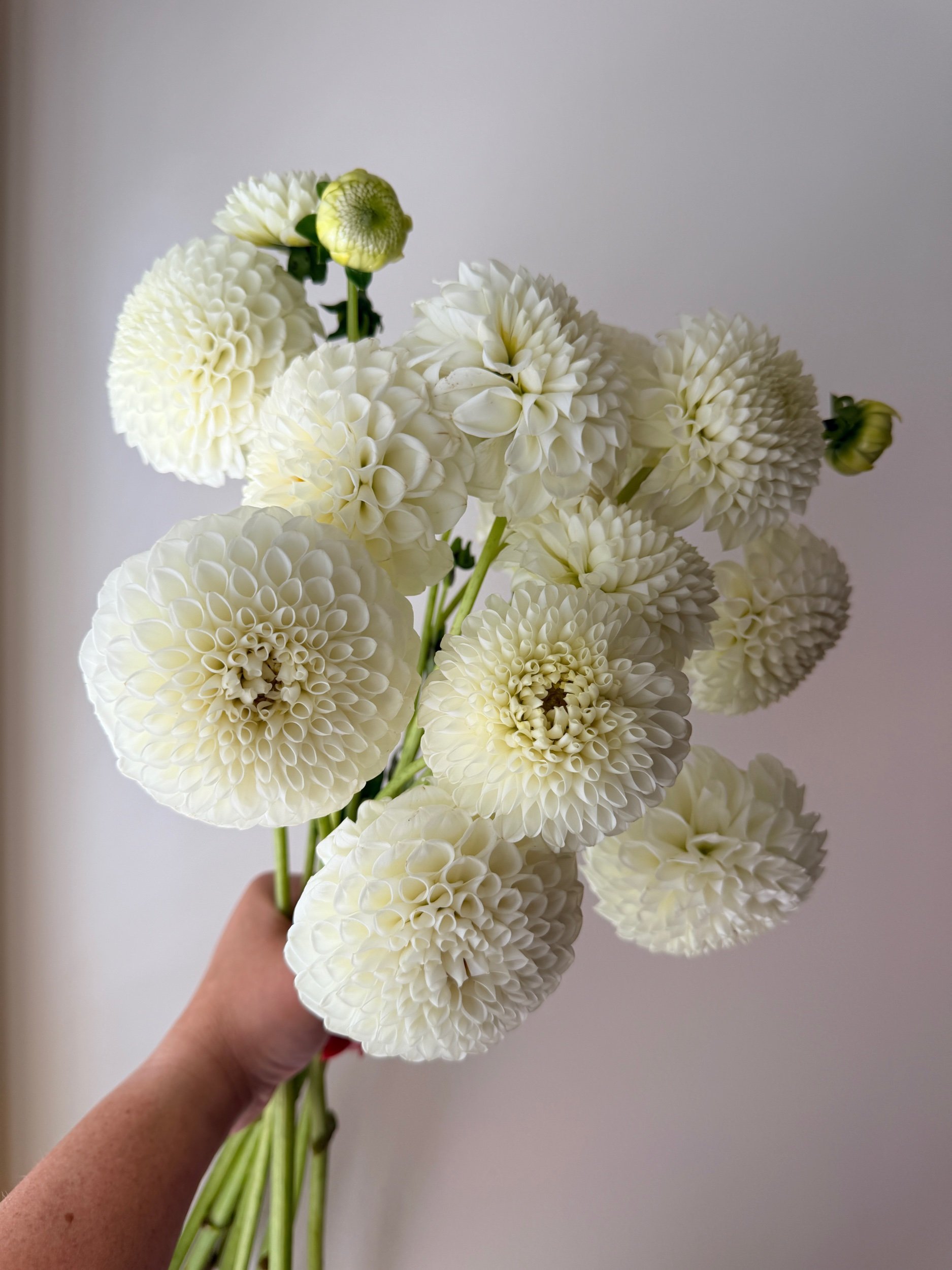 DB6C42A5-96B0-4009-AA81-E9184E45E810.jpeg