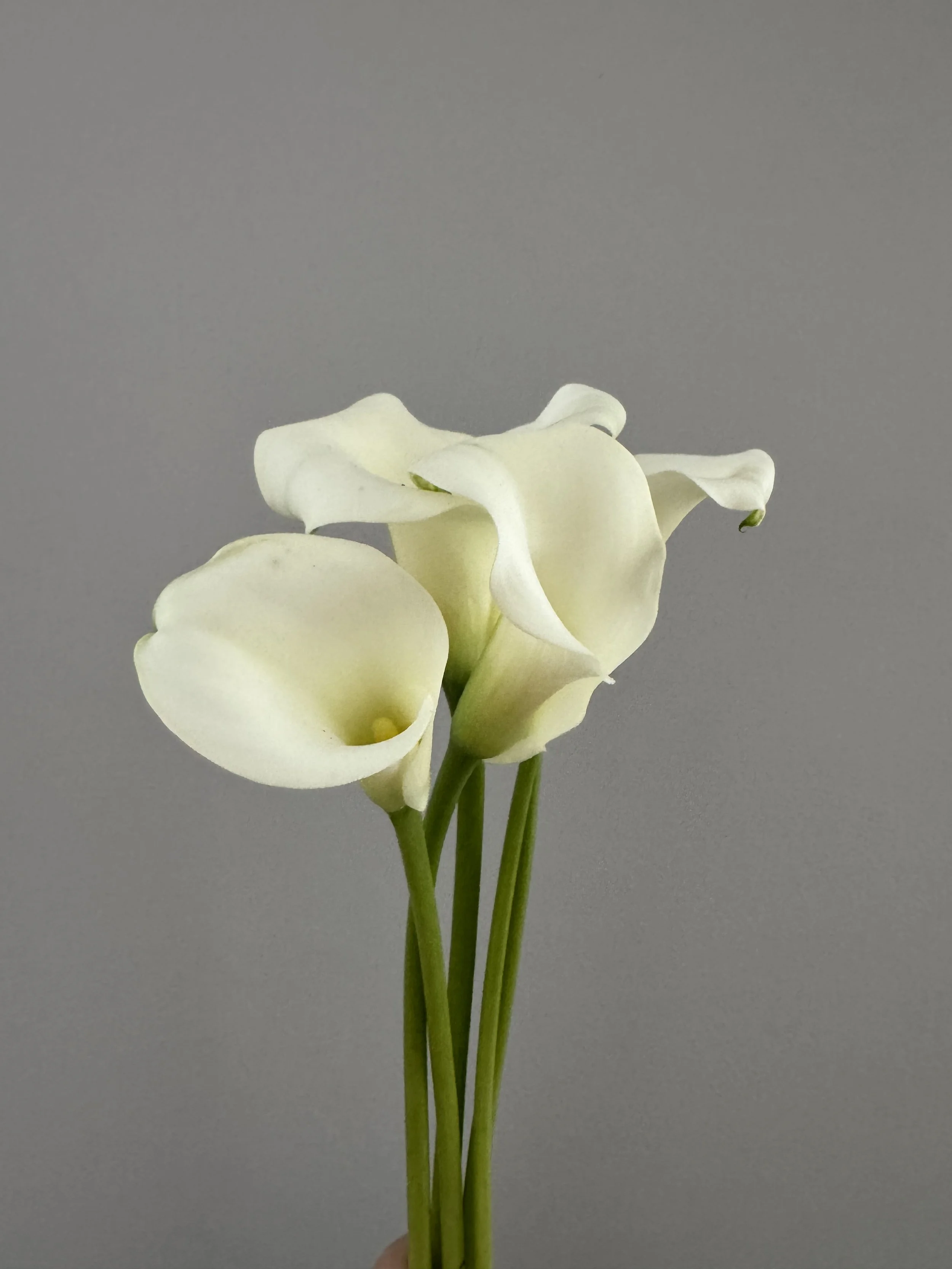 Callas - Mini Callas - White