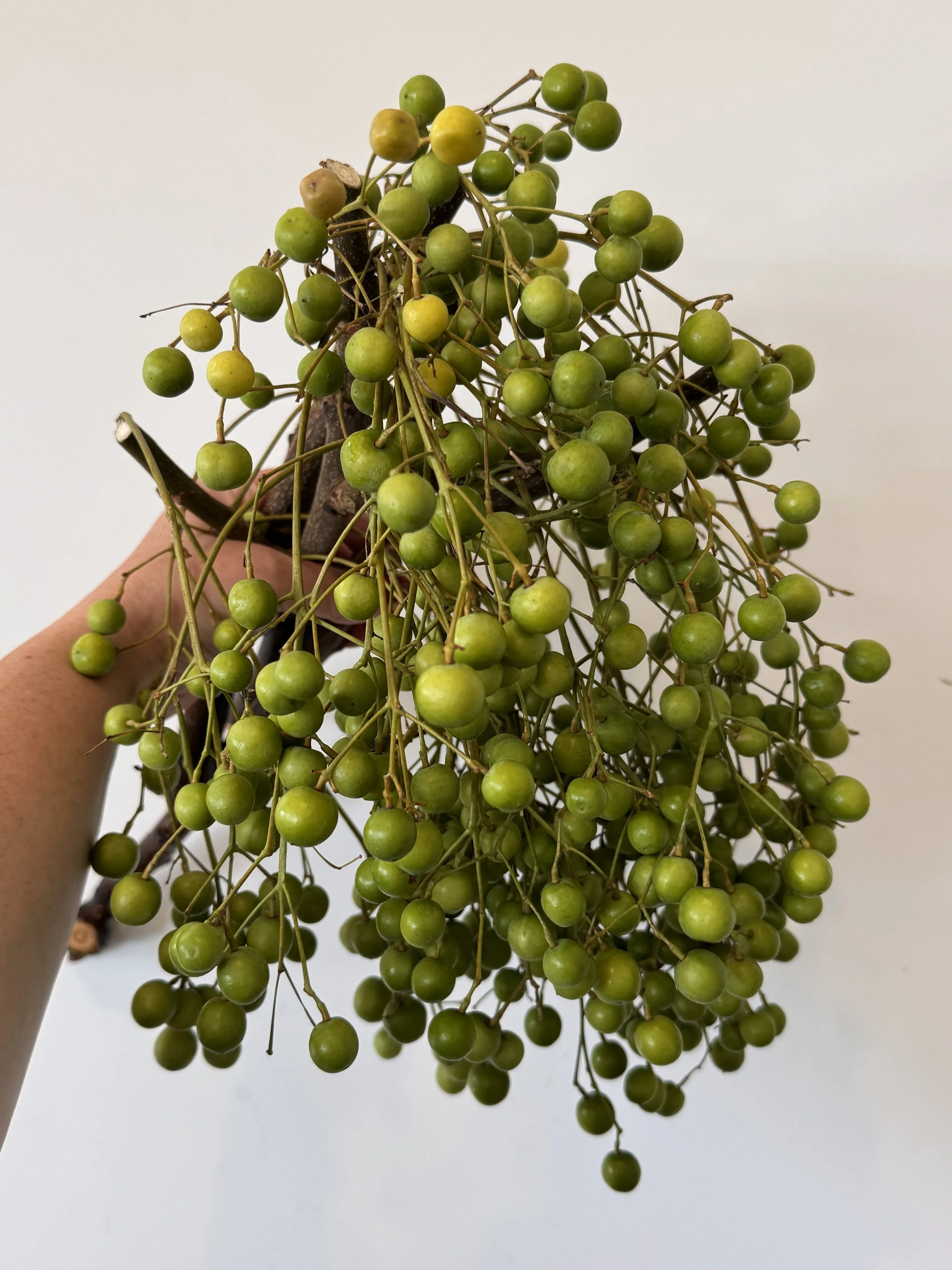 Berries - China Berries