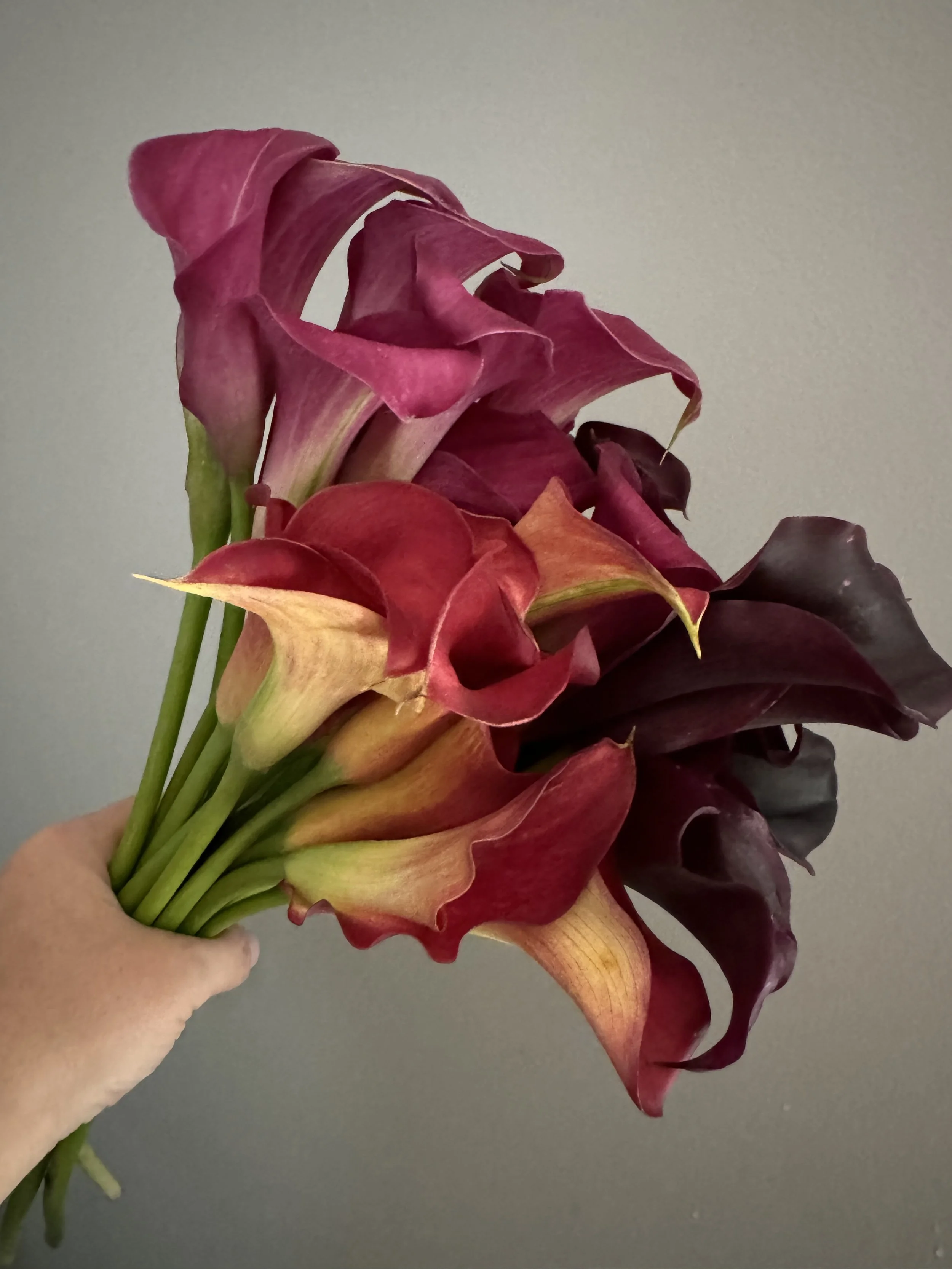 Callas - Mini Callas