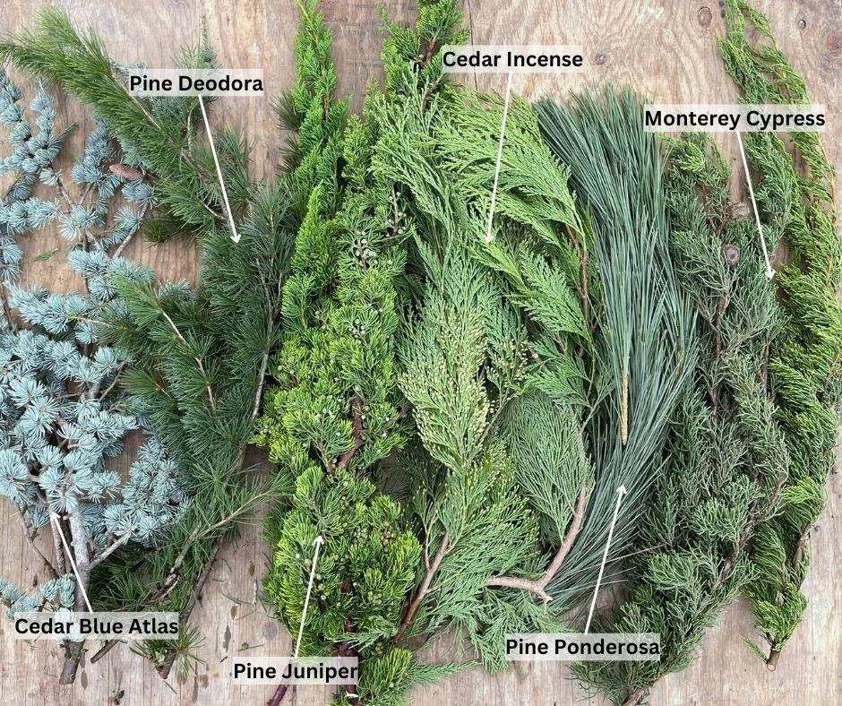 California Holiday Greenery