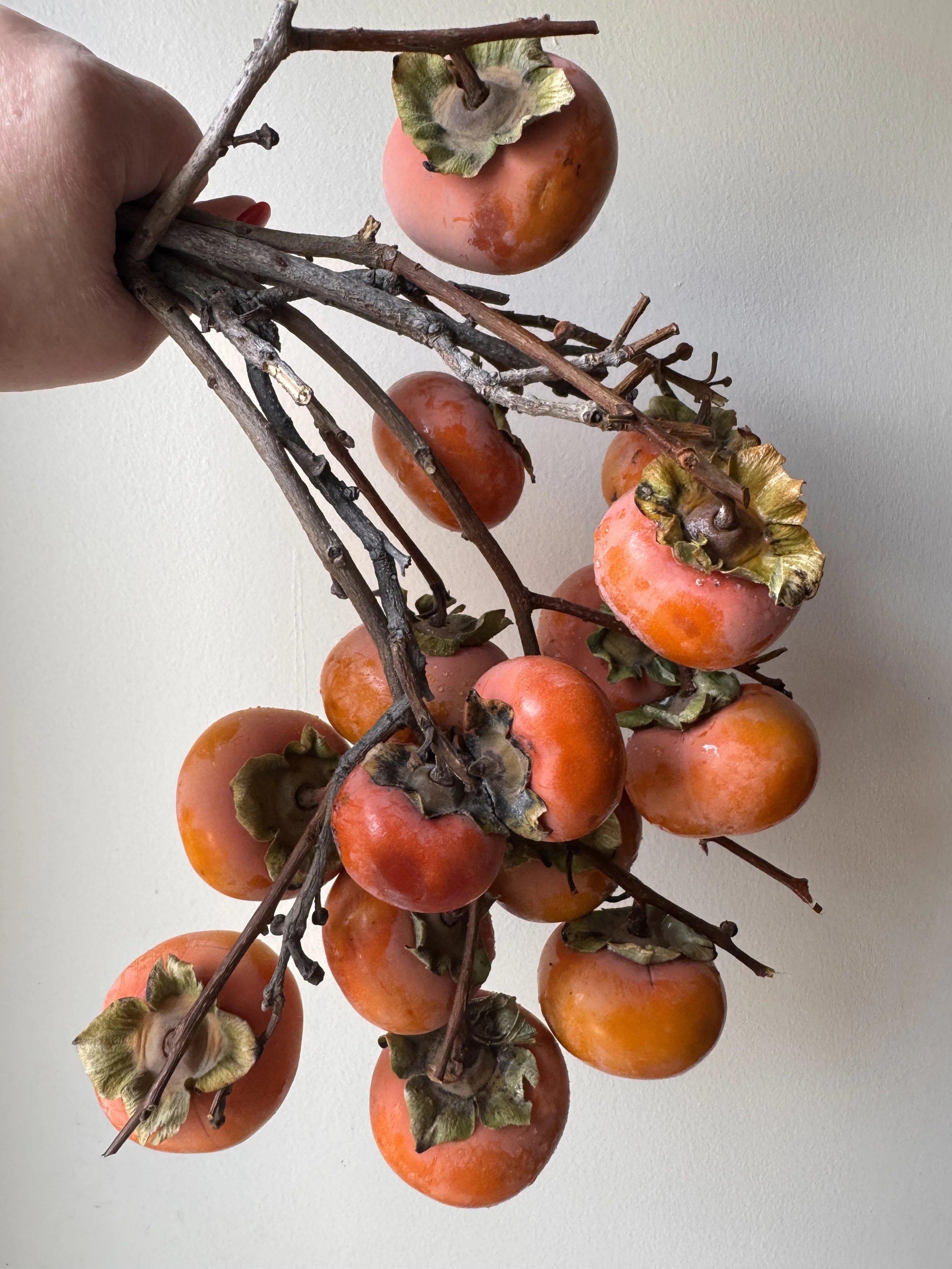 persimmons_2404.jpeg