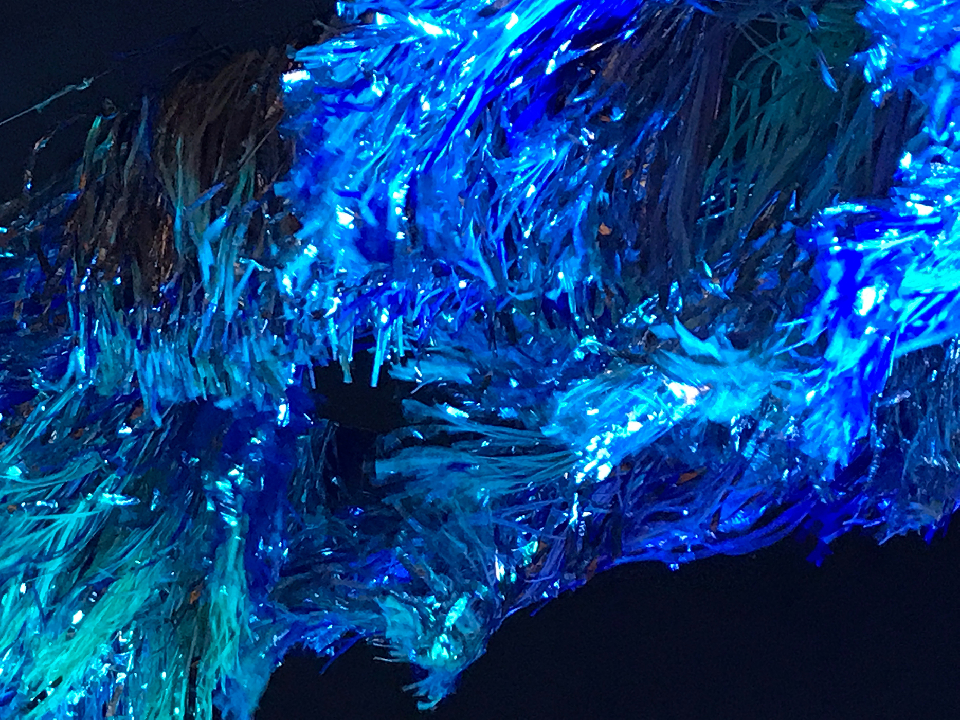 pic6.jpg