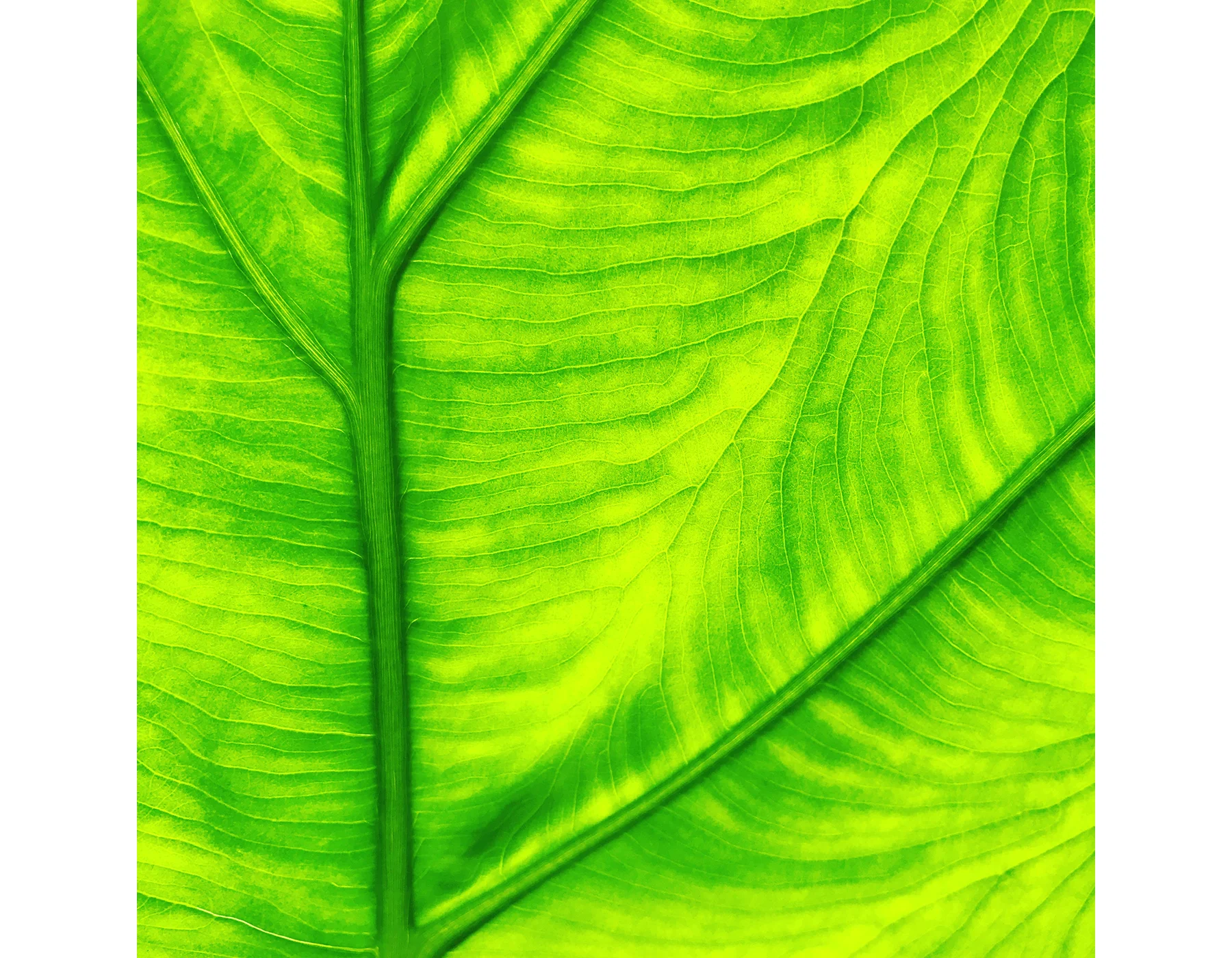 pic8.jpg
