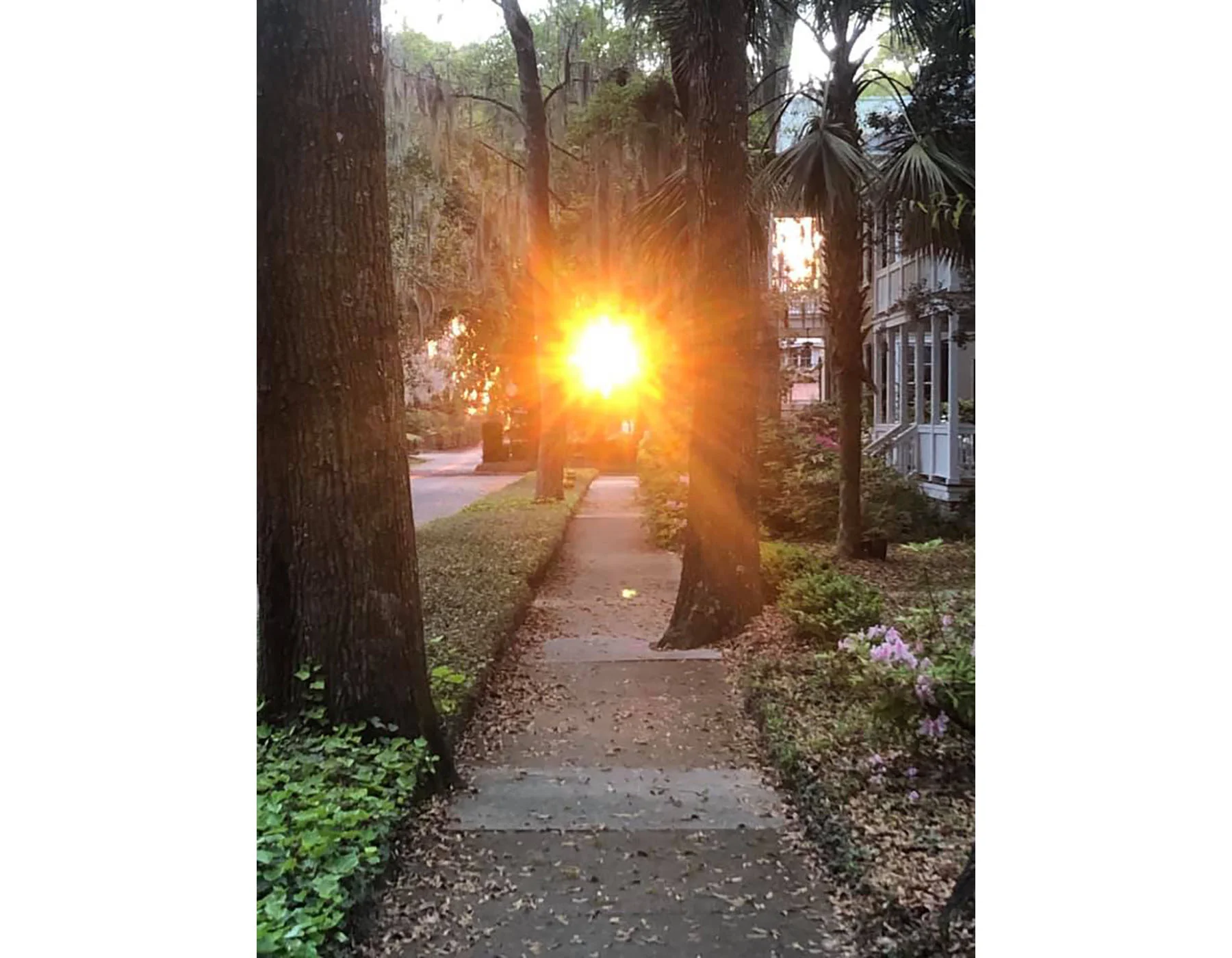 sunset2.jpg