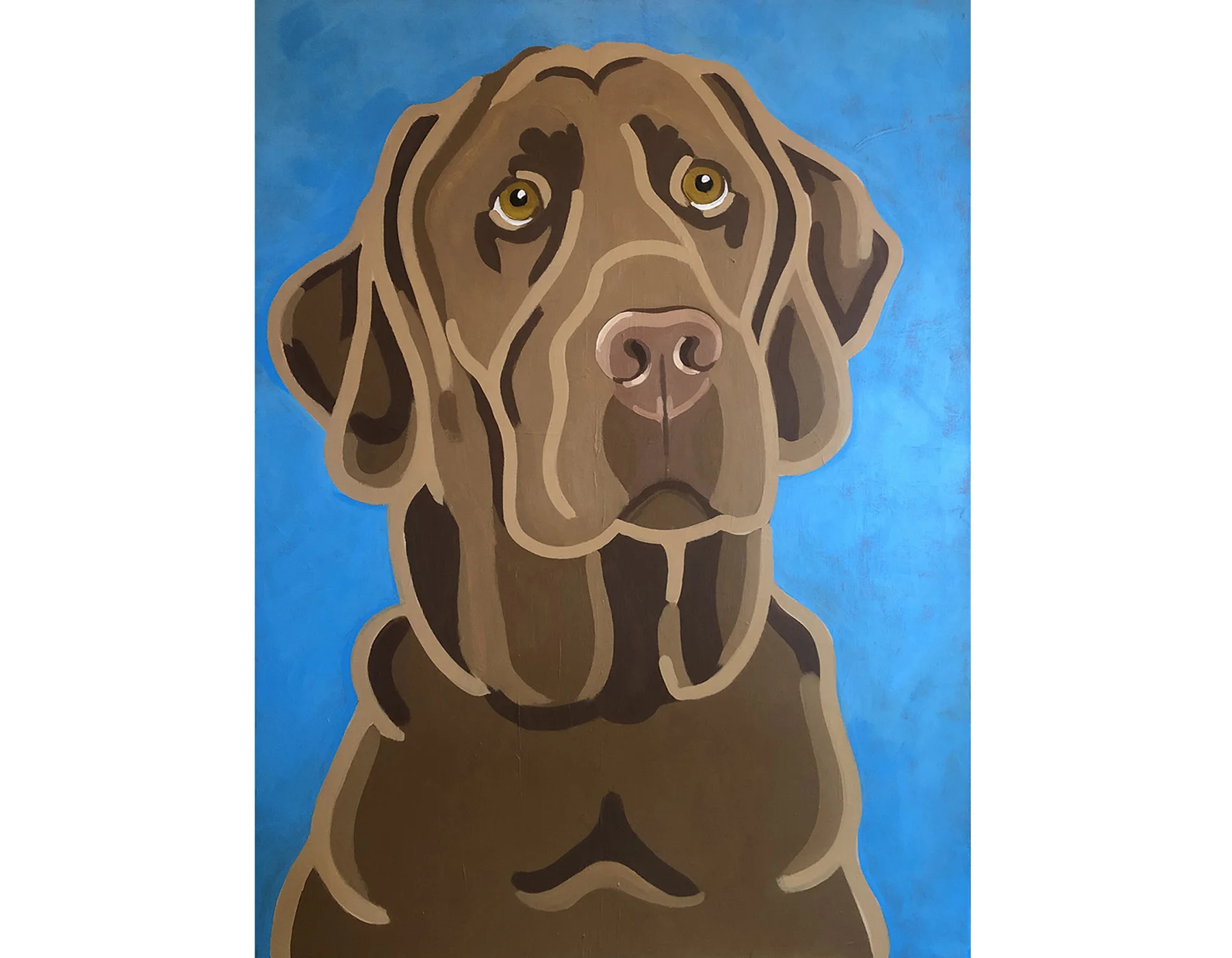 chocolate lab.jpg