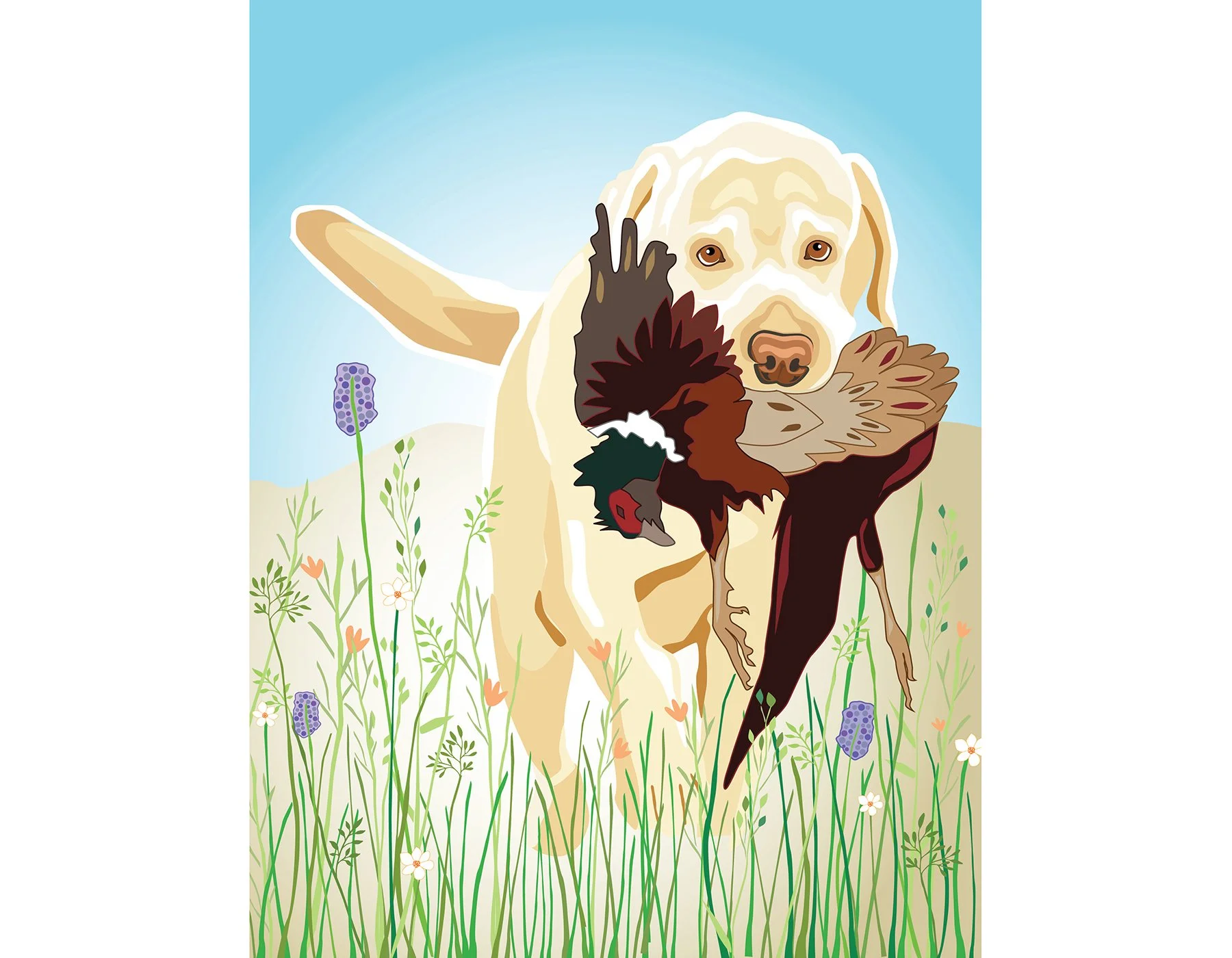 yellow lab hunting web.jpg