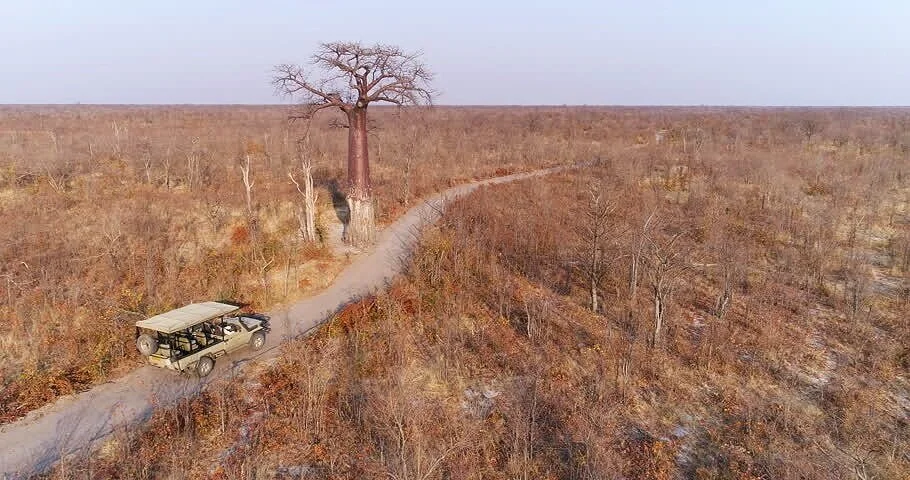 Safari+tour.jpg