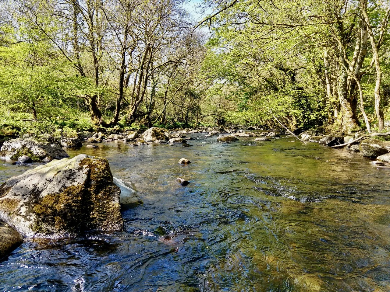 the river tavy - a 3 minute walk from the Annexe
