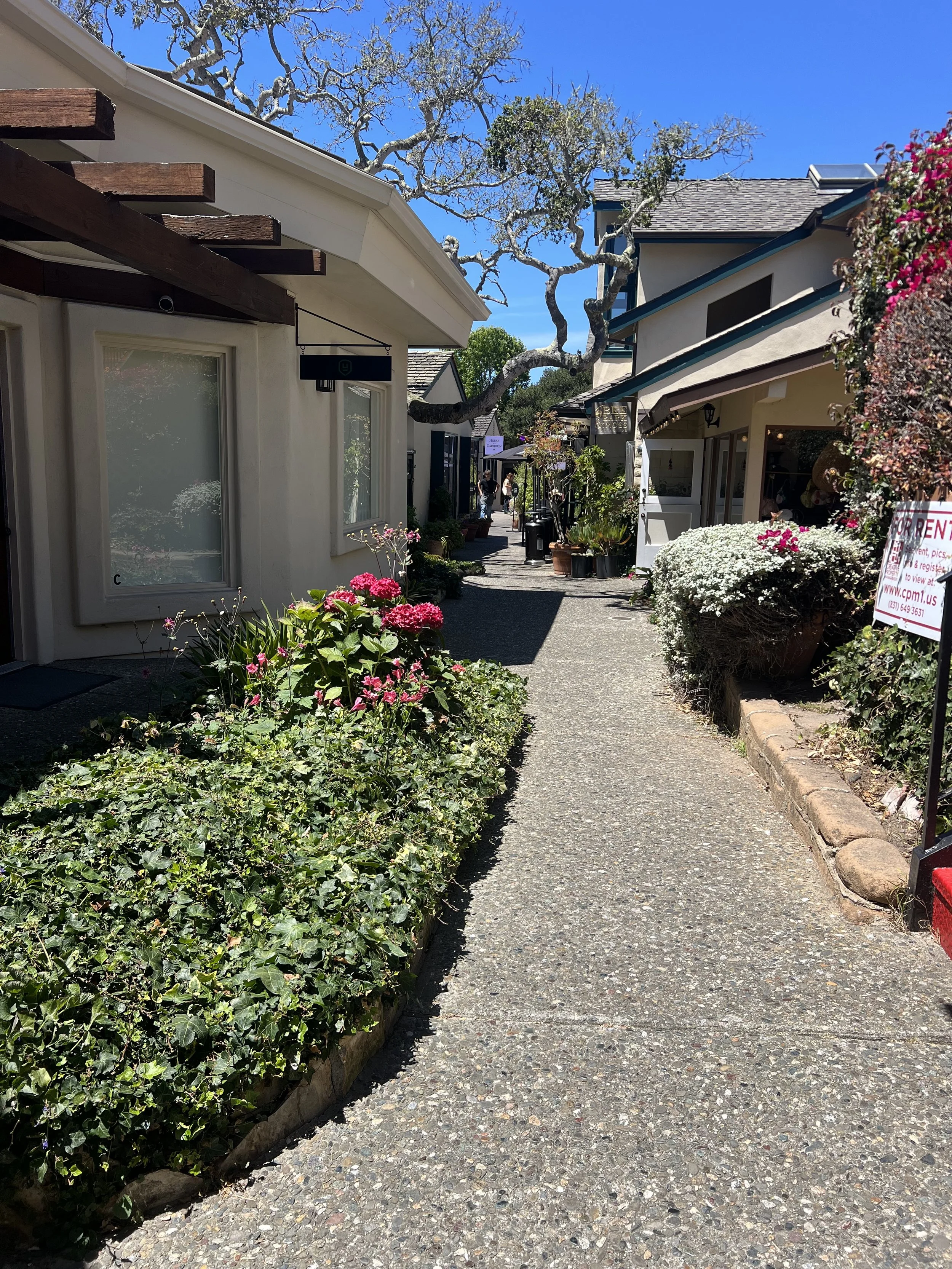 Carmel