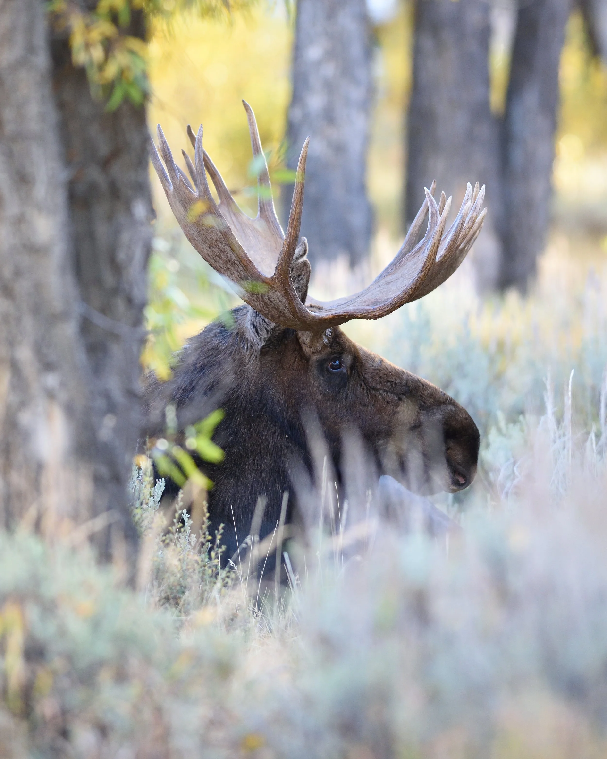 24 x 30 DSC_3942.JPG