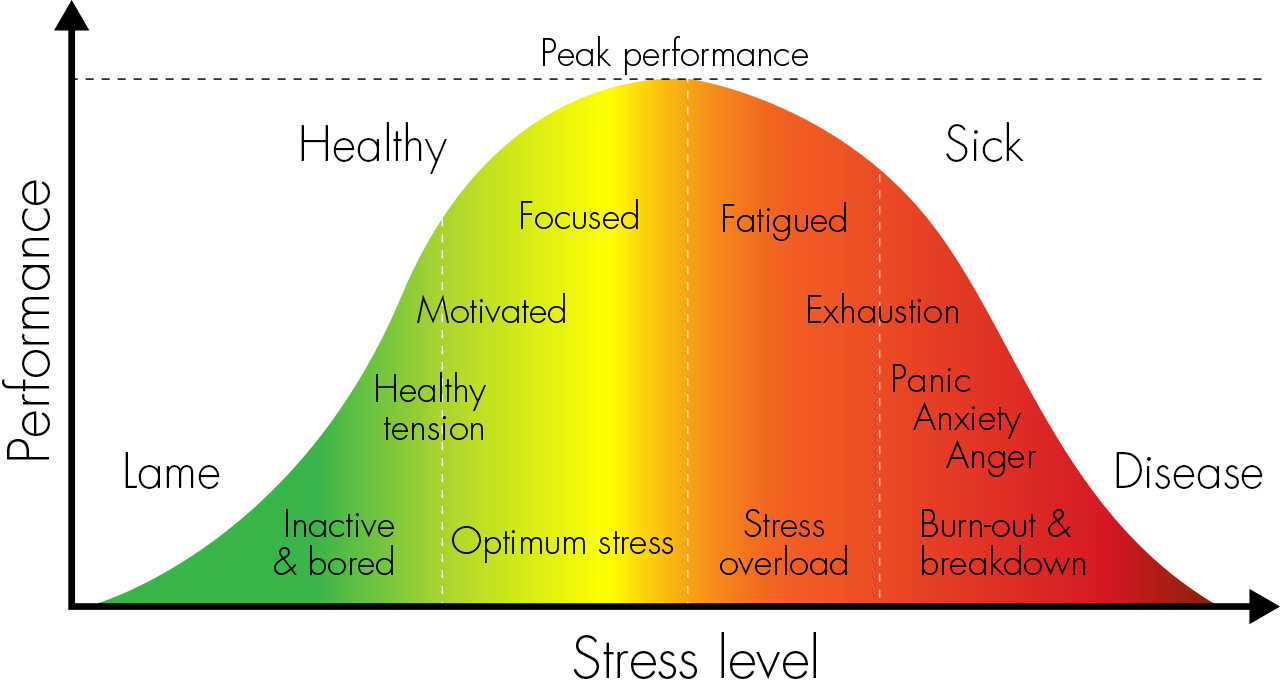 http://www.haleo.co.uk/wordpress/whats-stress-got-to-do-with-it/