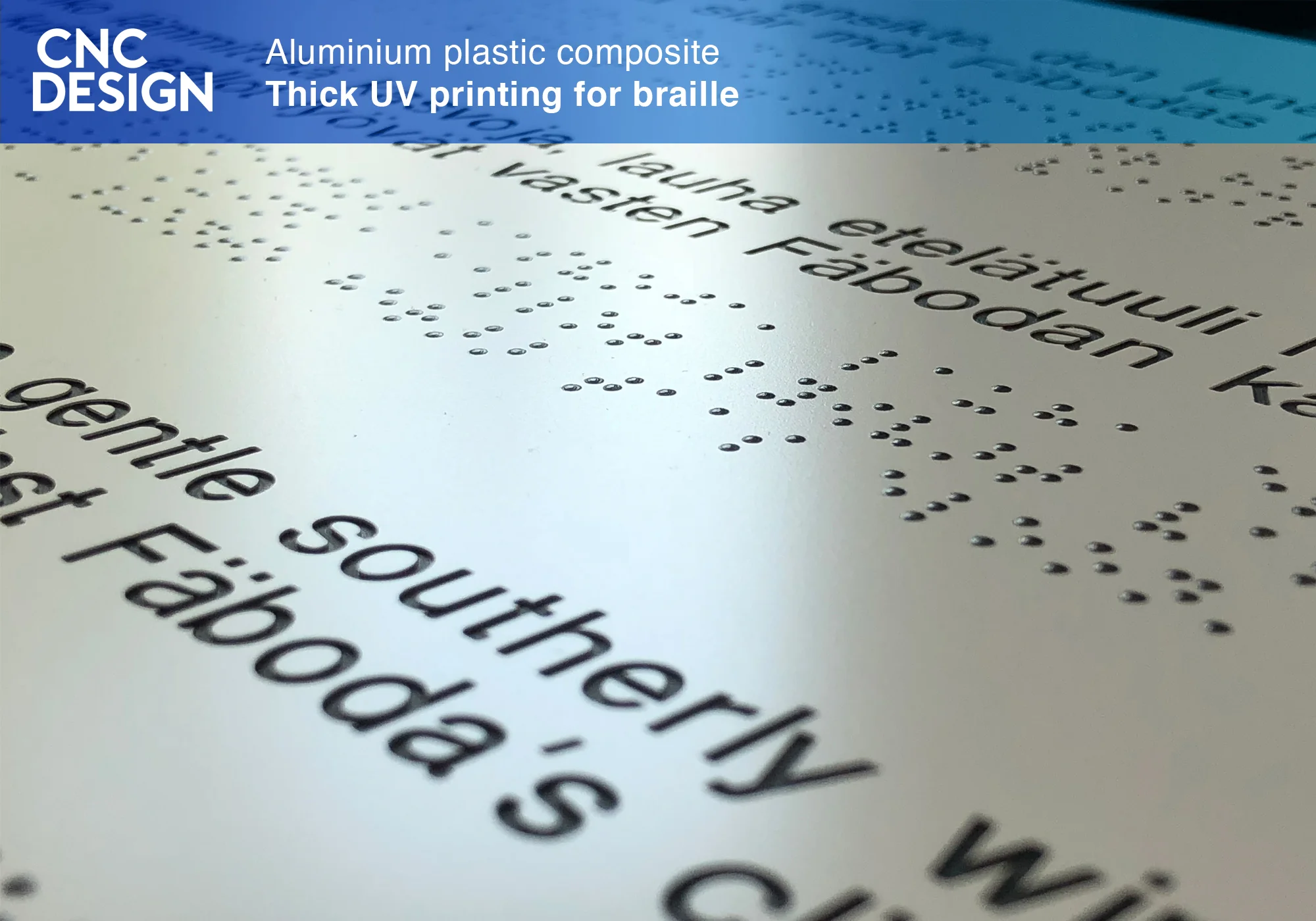 braille.jpg