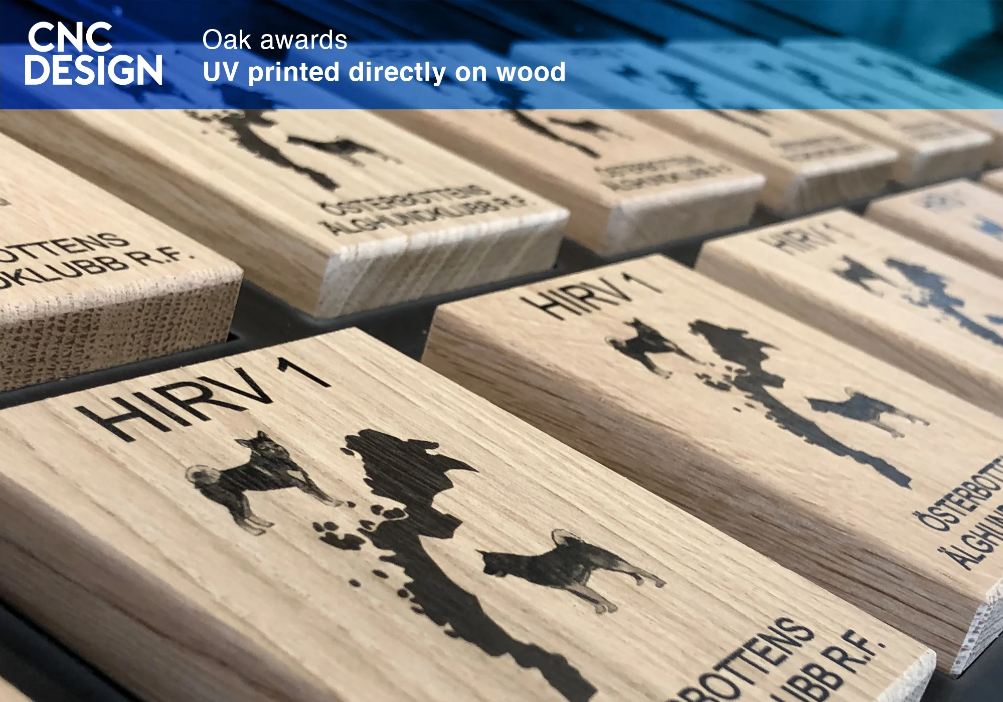 oakaward.jpg