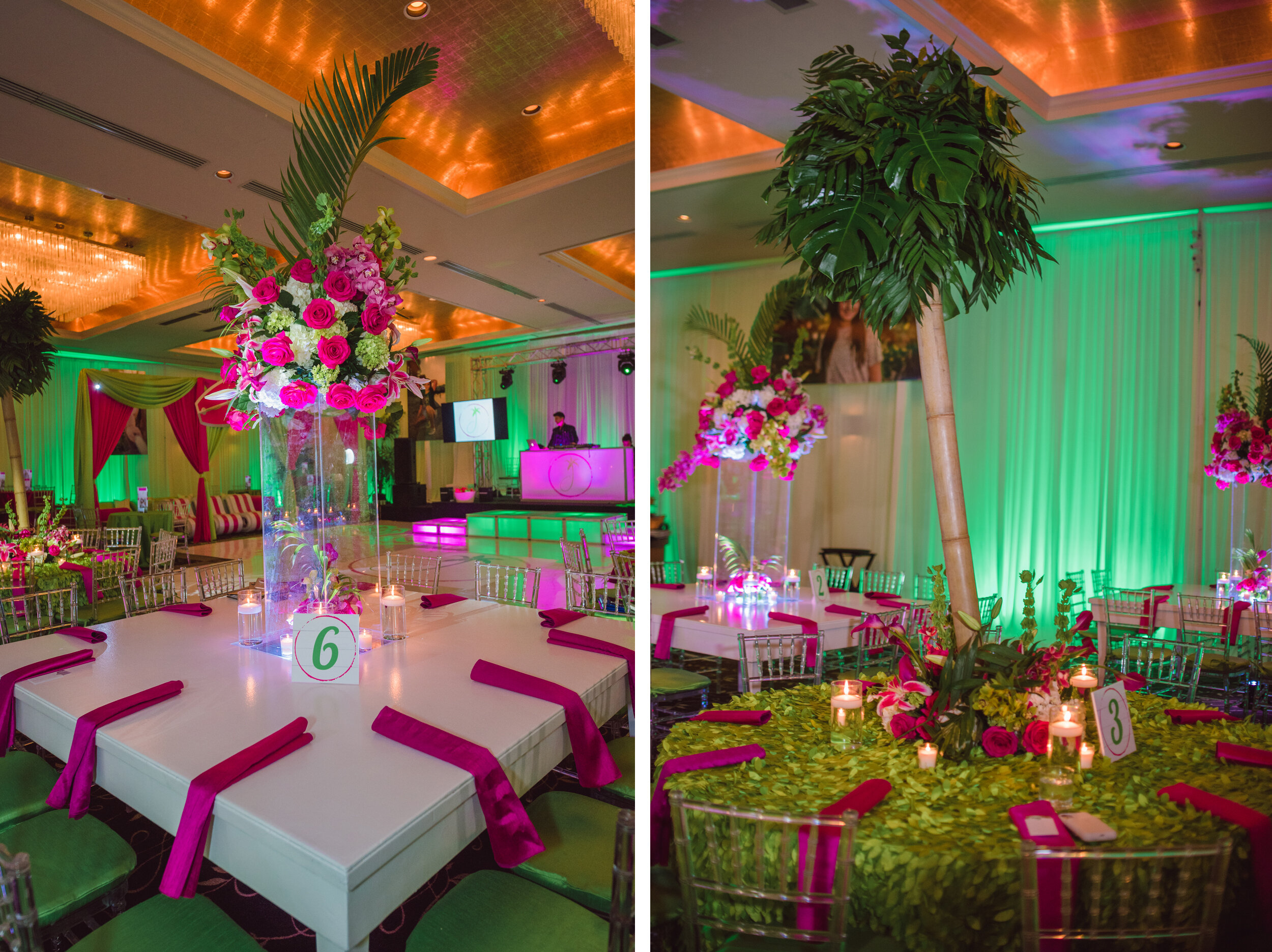 South Florida Bat Mitzvah Details.jpg