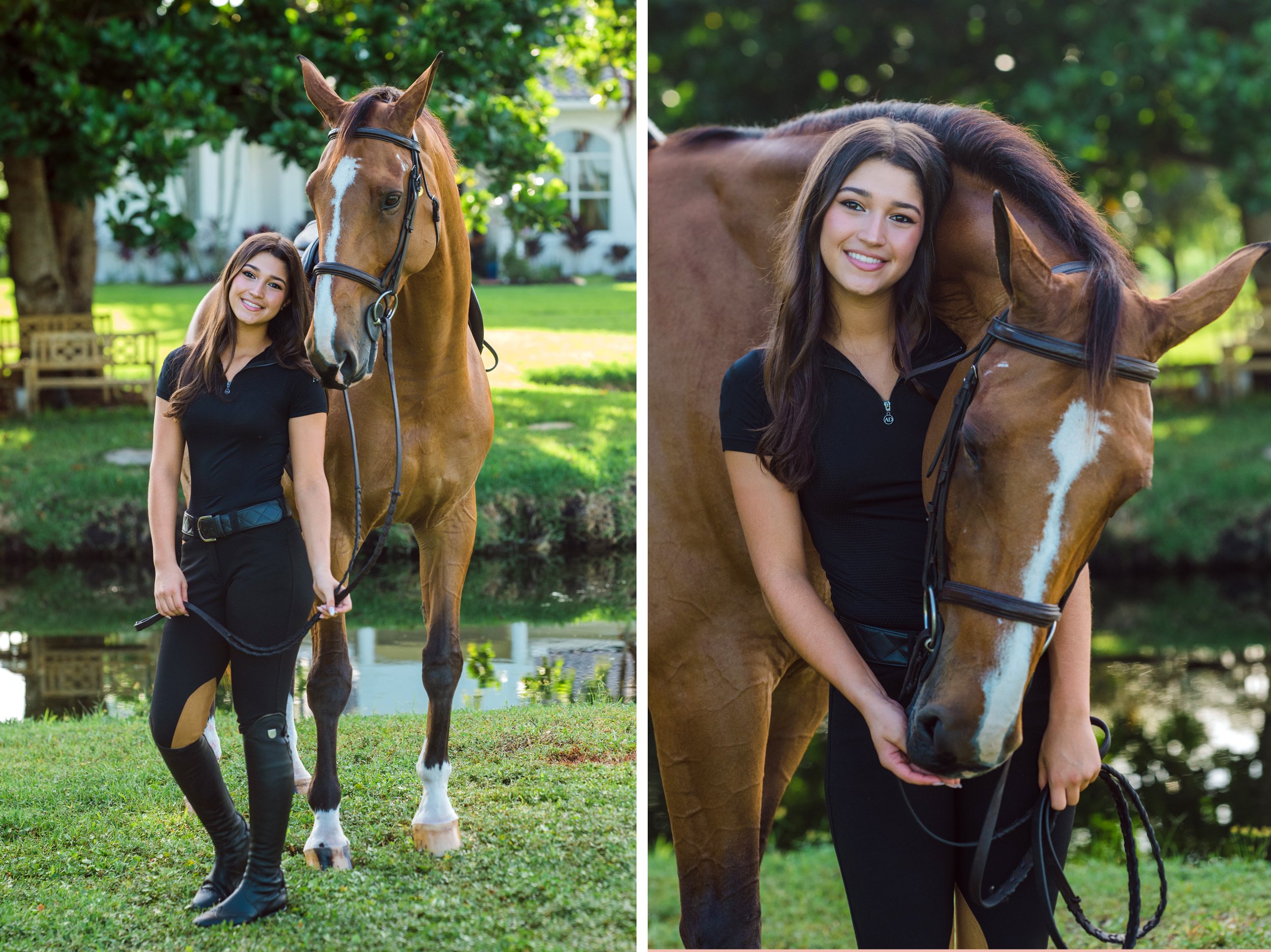 south Florida horse photographer.jpg