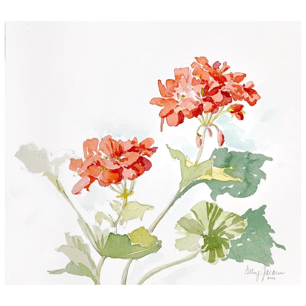 Flower profiles to bring spring closer and closer 🌸 

Red Geraniums, 11.5 x 10.25
Titian Irises, 14x21
Botanical III, 15 x 19.5 
Watercolor on Arches 140#
Unframed