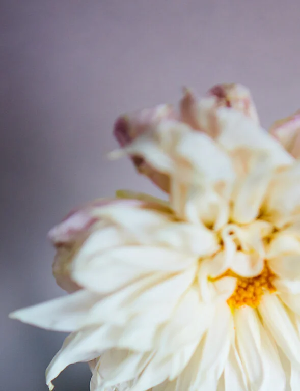 charlotte_buron_chabrn_setdesign_stilllife_29_LOW.jpg