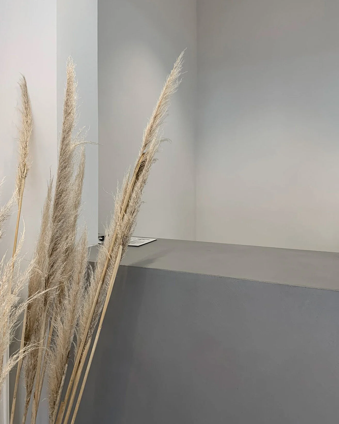 chabrn_spatial_designer_store_interior_concept_grenadine_21.jpg