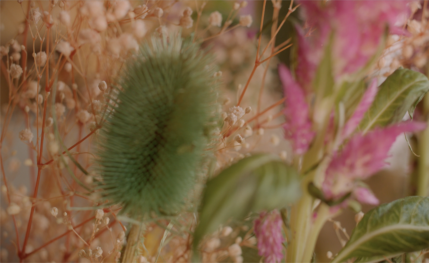 charlotte_buron_setdesign_musicvideo_rori_portfolio_2.png