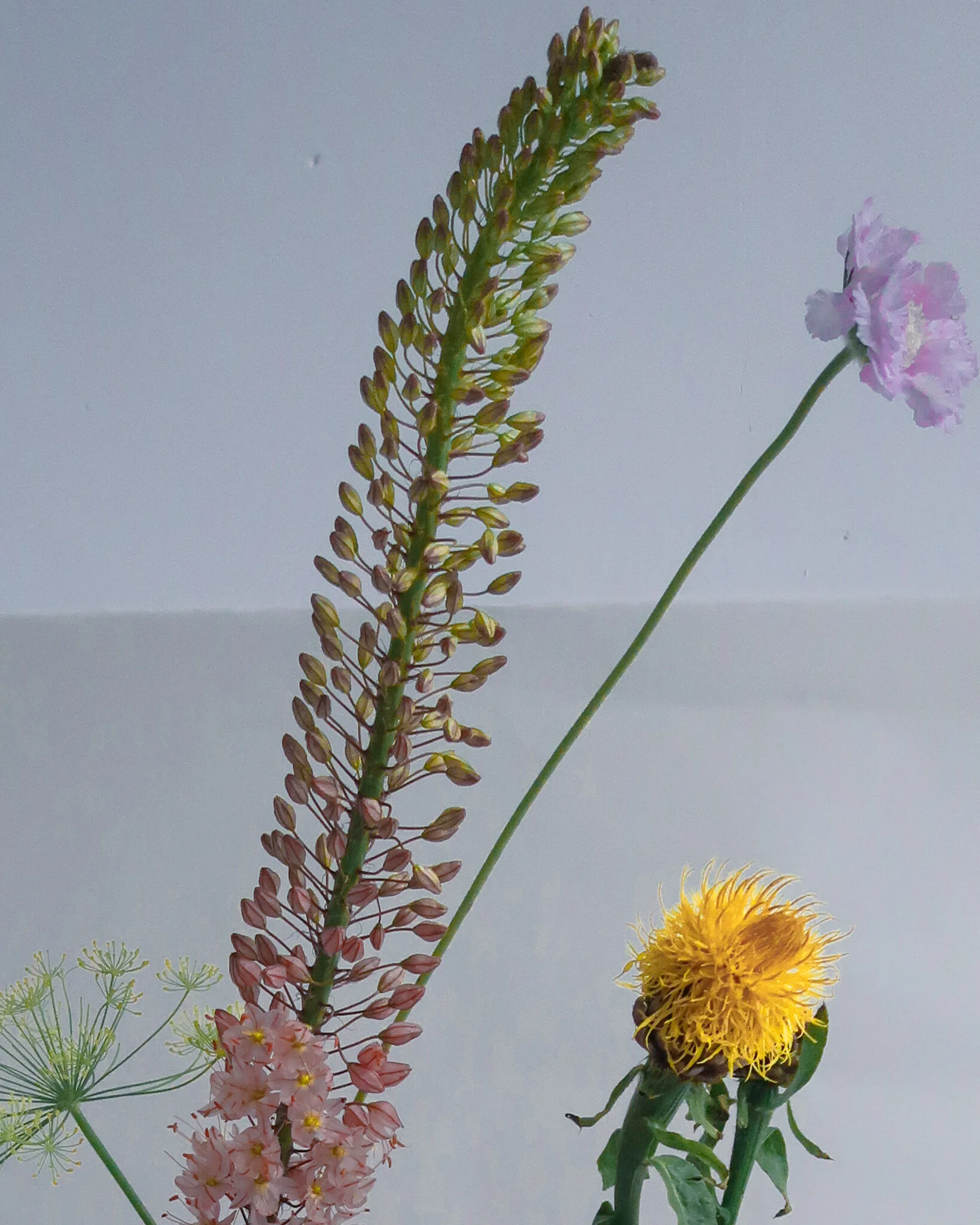chabrn_setdesign_stilllife_floral_ceramic4.jpg