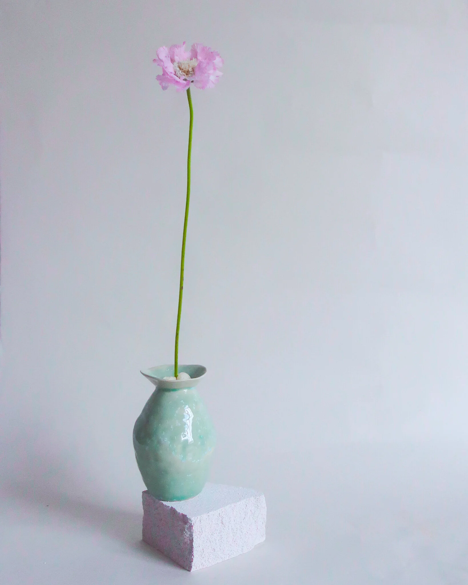 chabrn_setdesign_stilllife_floral_ceramic18.jpg