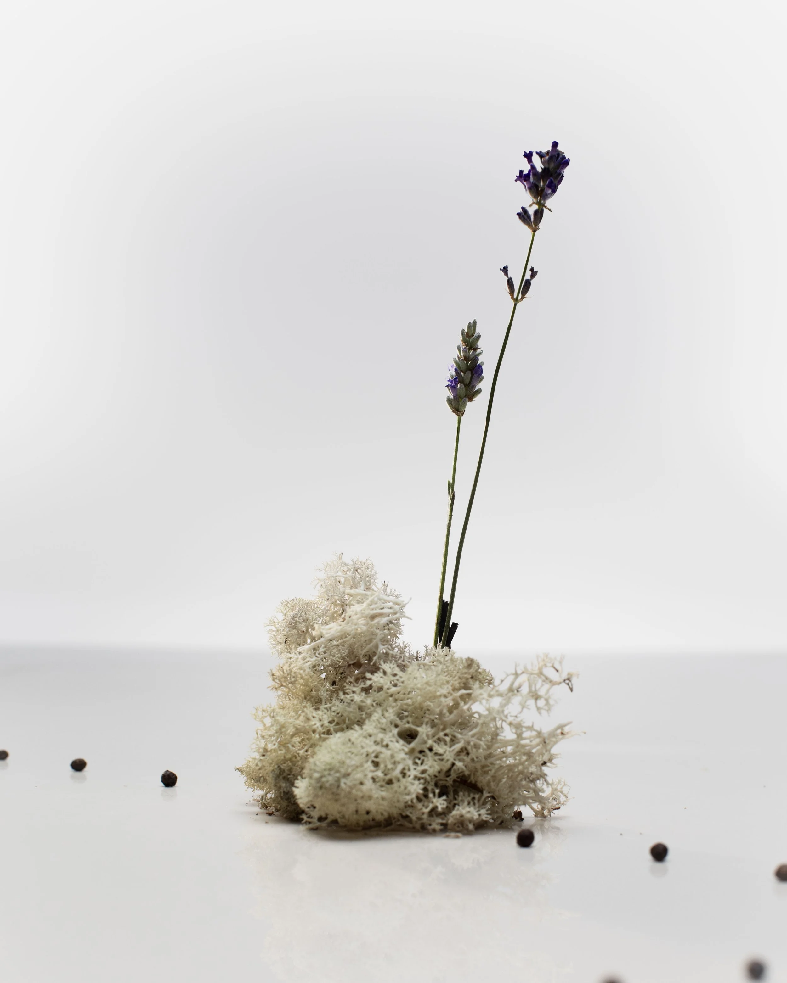 MARIE_SCENTS_MYSTIC_01 copie-Lres.jpg