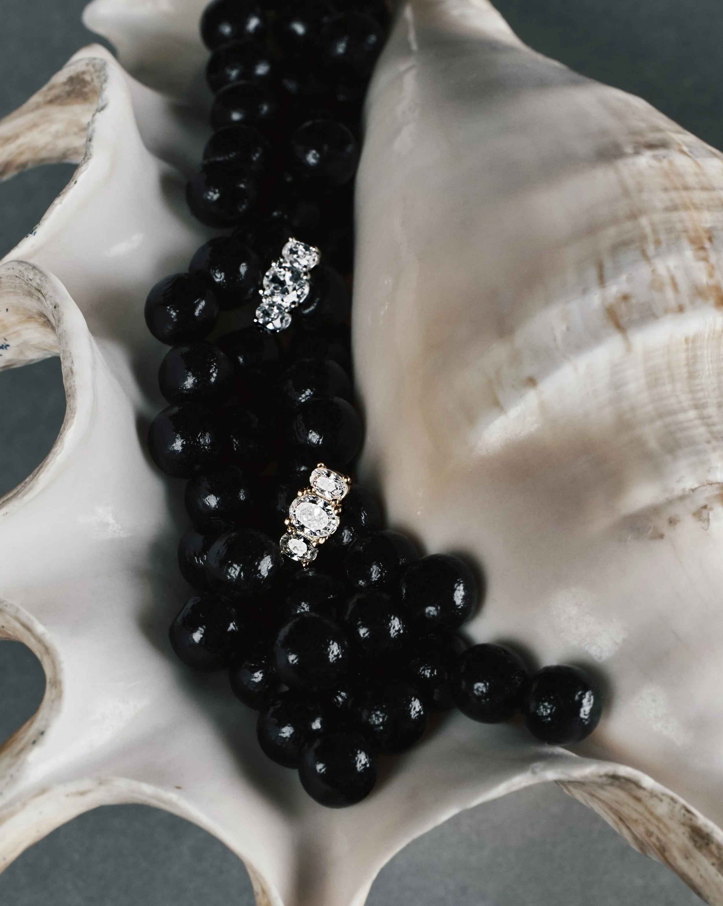 NEBULEUSE_COQUILLAGE 02web-.jpg