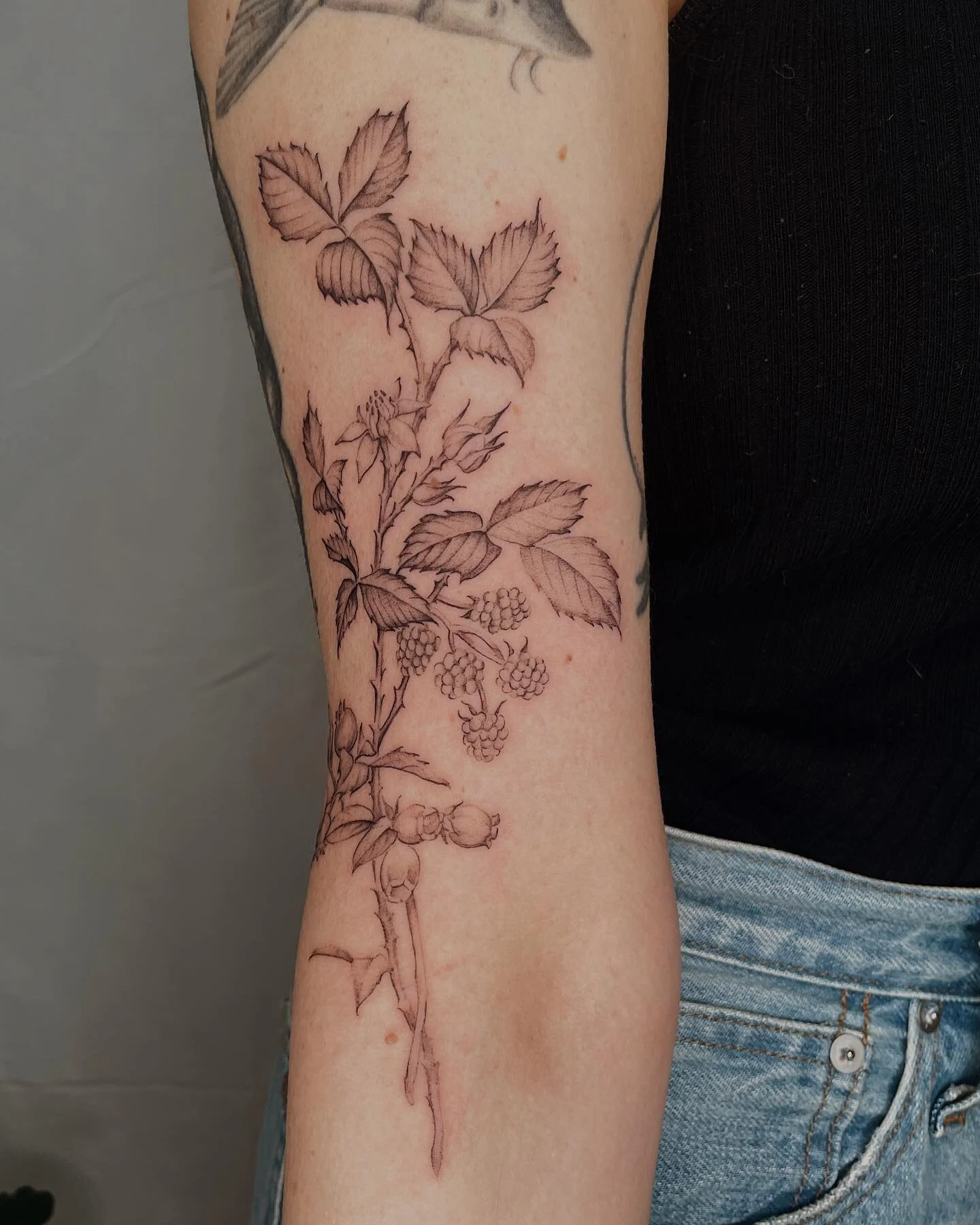 Blueberries and raspberries for Stephanie ! Loved working on this one! I just need to get a better camera situation now 🙈