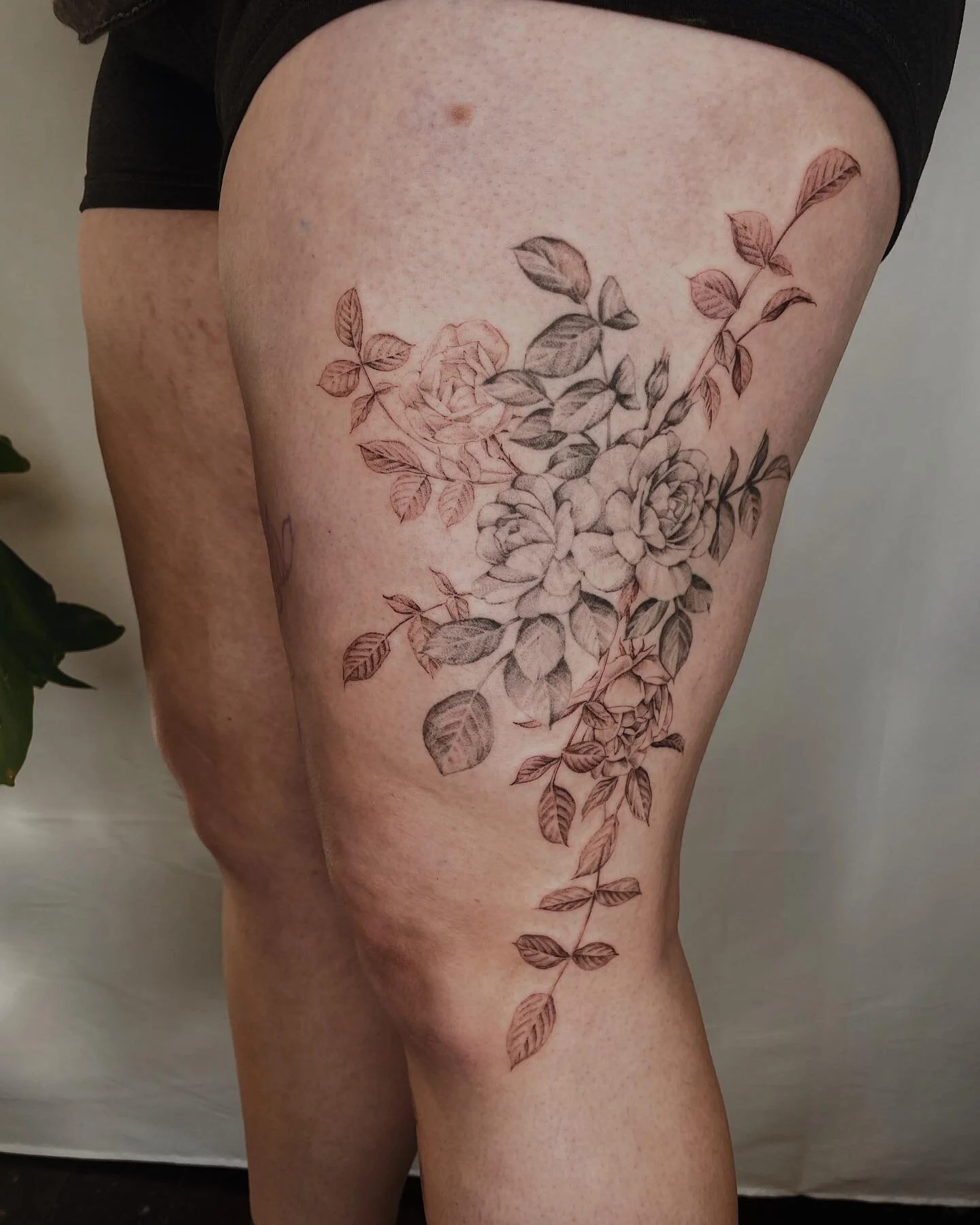 Added some fresh roses to Sabrina&rsquo;s healed roses from a couple of years ago! Thank you for traveling for this extension! Can&rsquo;t wait to finish the other side next time 🙌🏼🌹