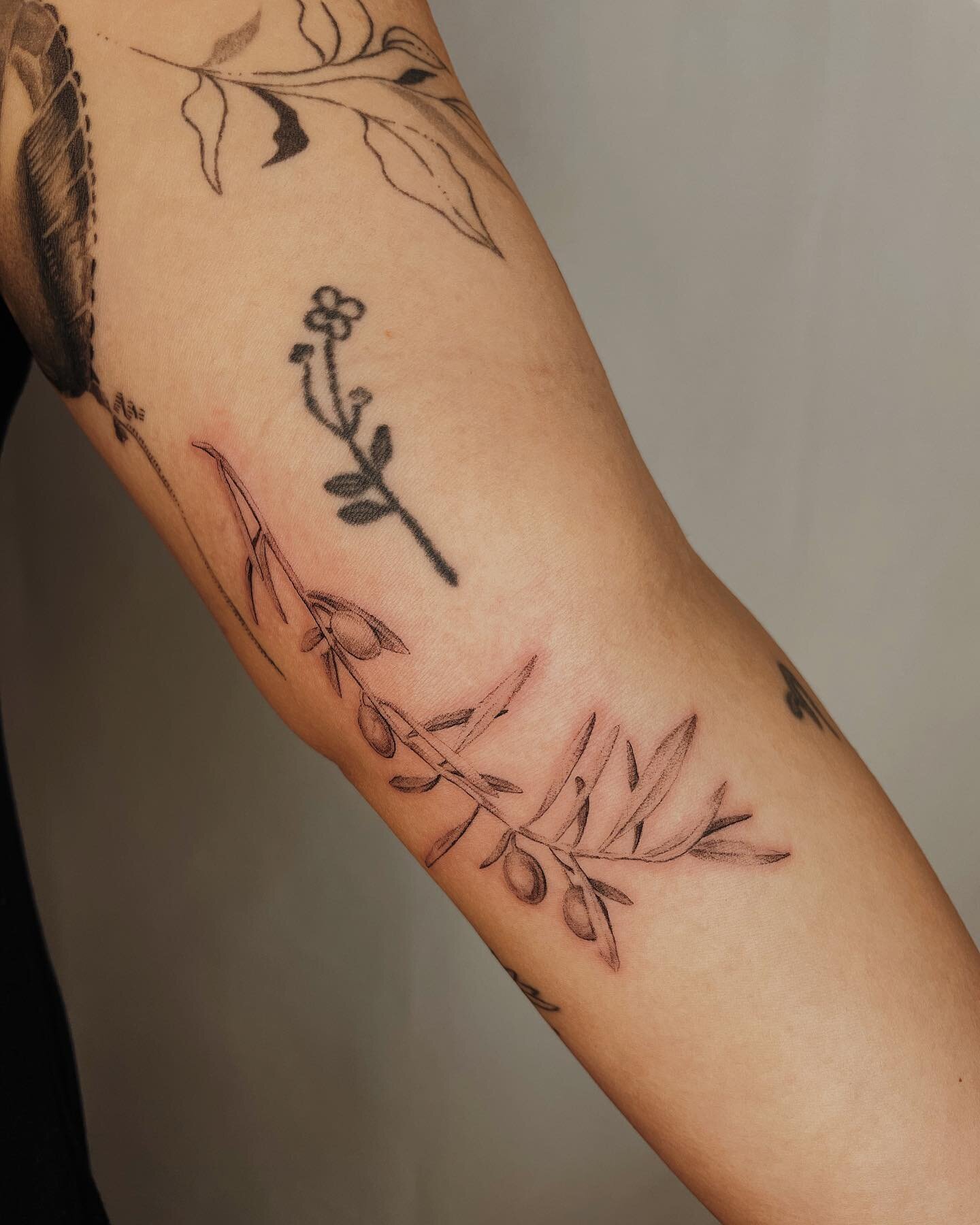 Olive branches 🕊️