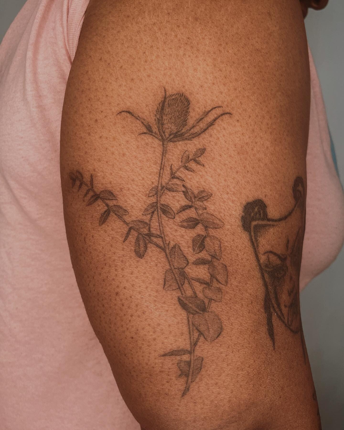 Healed thistle and eucalyptus along with free-handed pothos for wonderful @aretahettarh 💓✨! Thank you for your trust all these years!