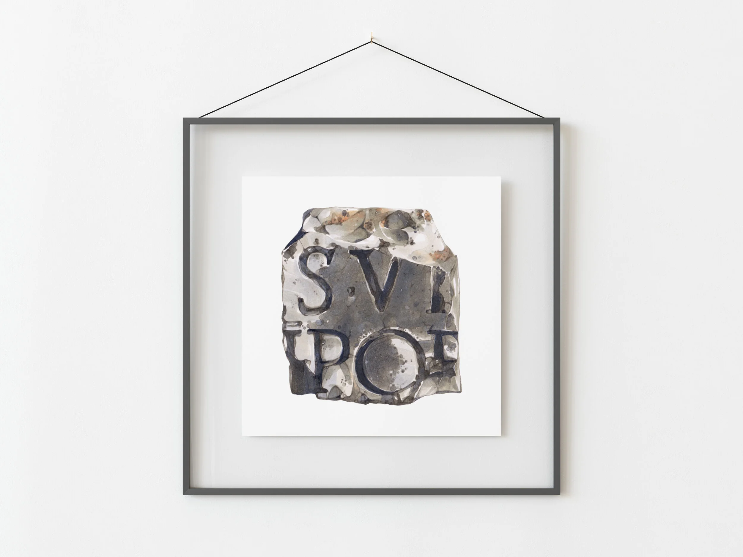 SVPO - Grey frame.jpg