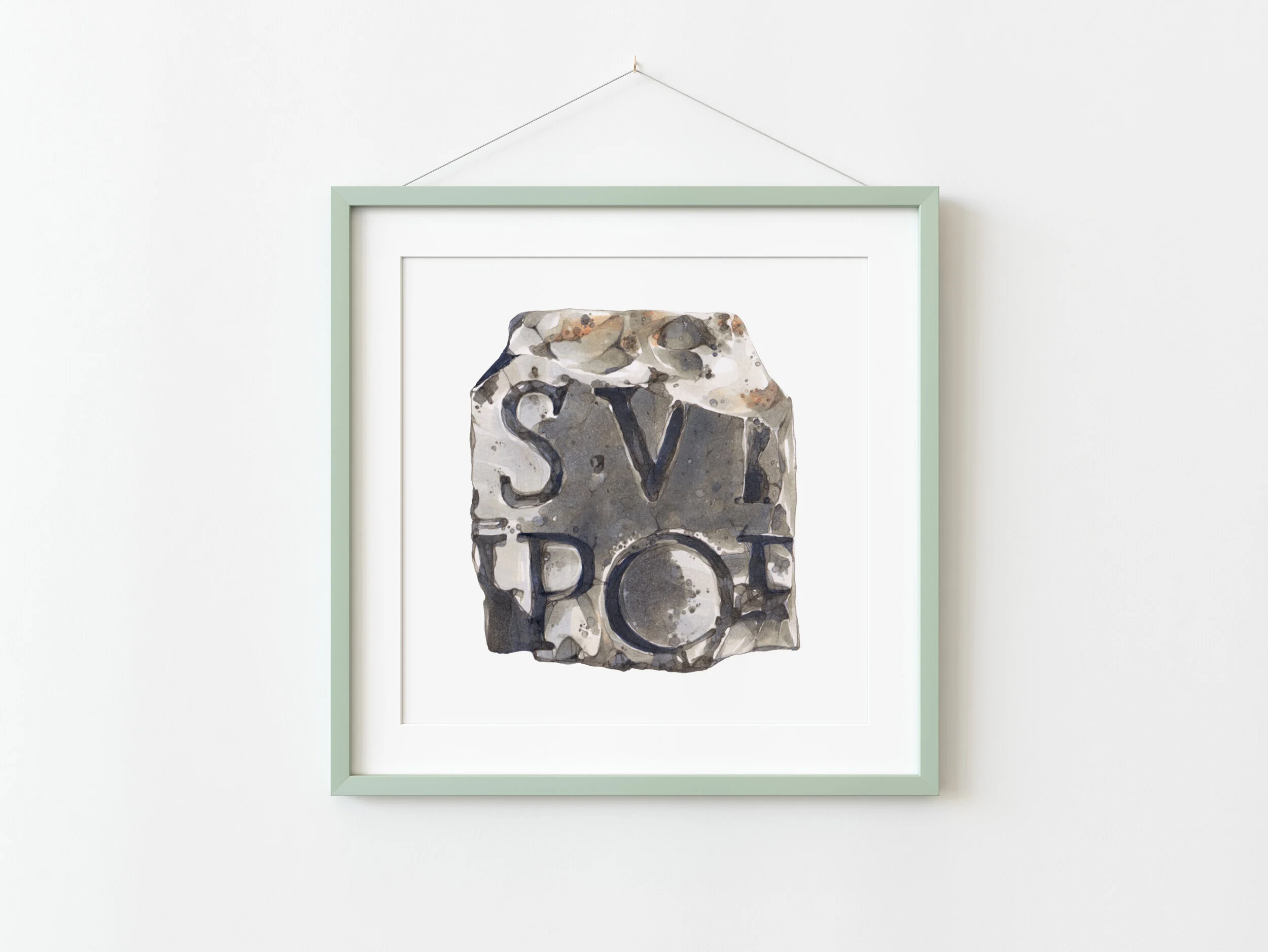 SVPO - Green frame.jpg