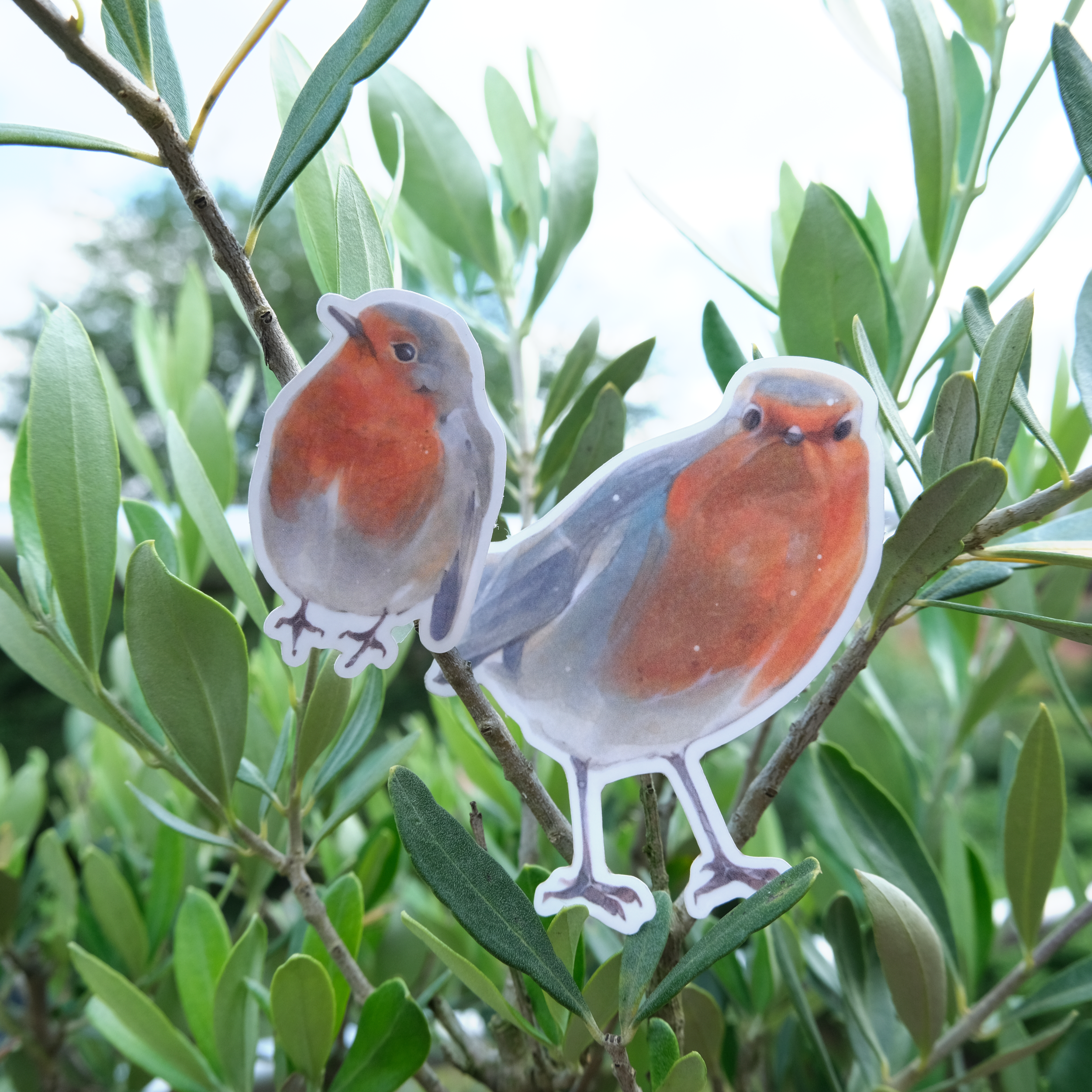 2 Robins on the tree.png
