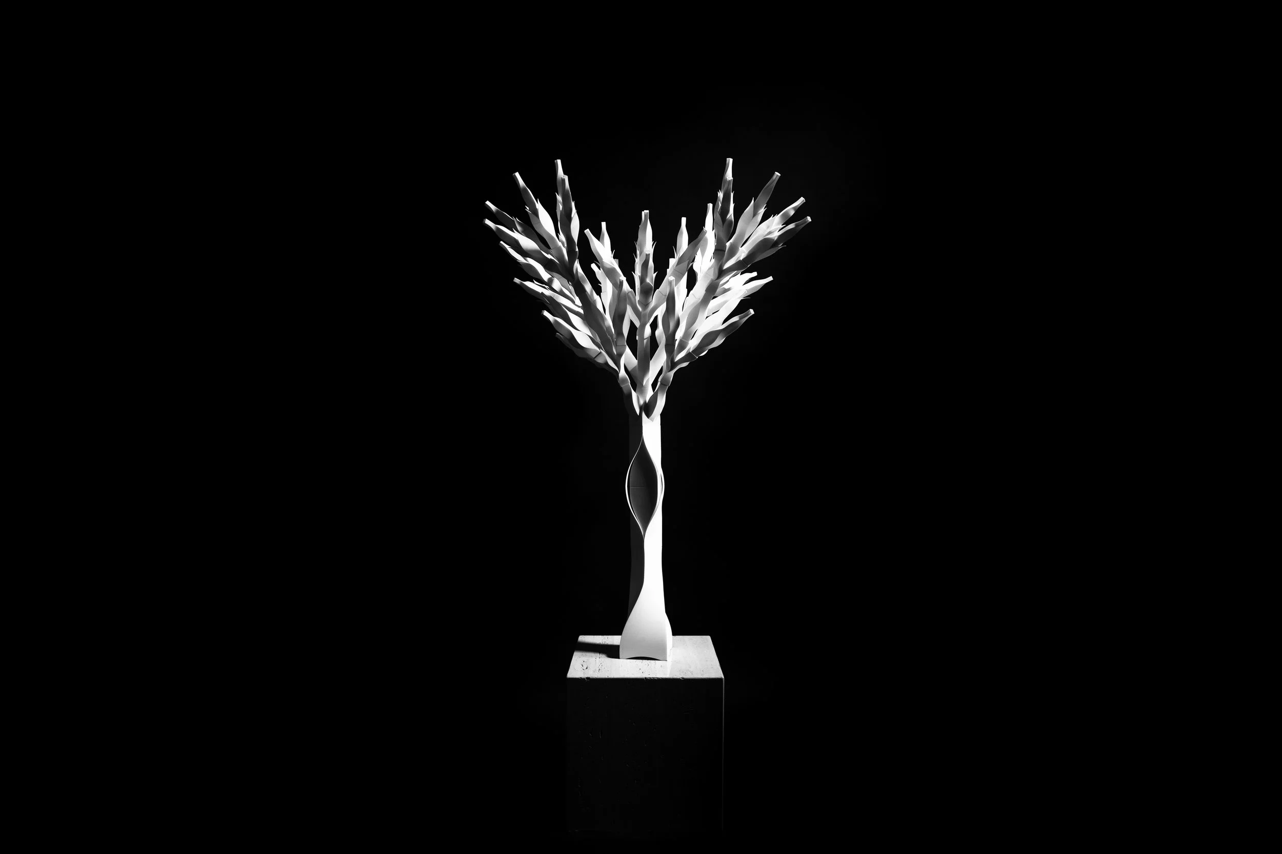 AND_TREE OF LIFE_ COMPOSITIONAL STUDY ONE_ INFINITE SYMMETREE_ 020115.jpg