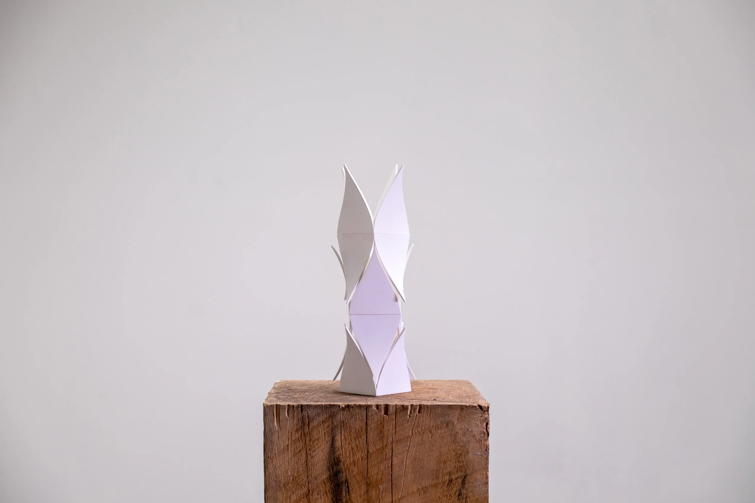 untitled (3 of 34).jpg