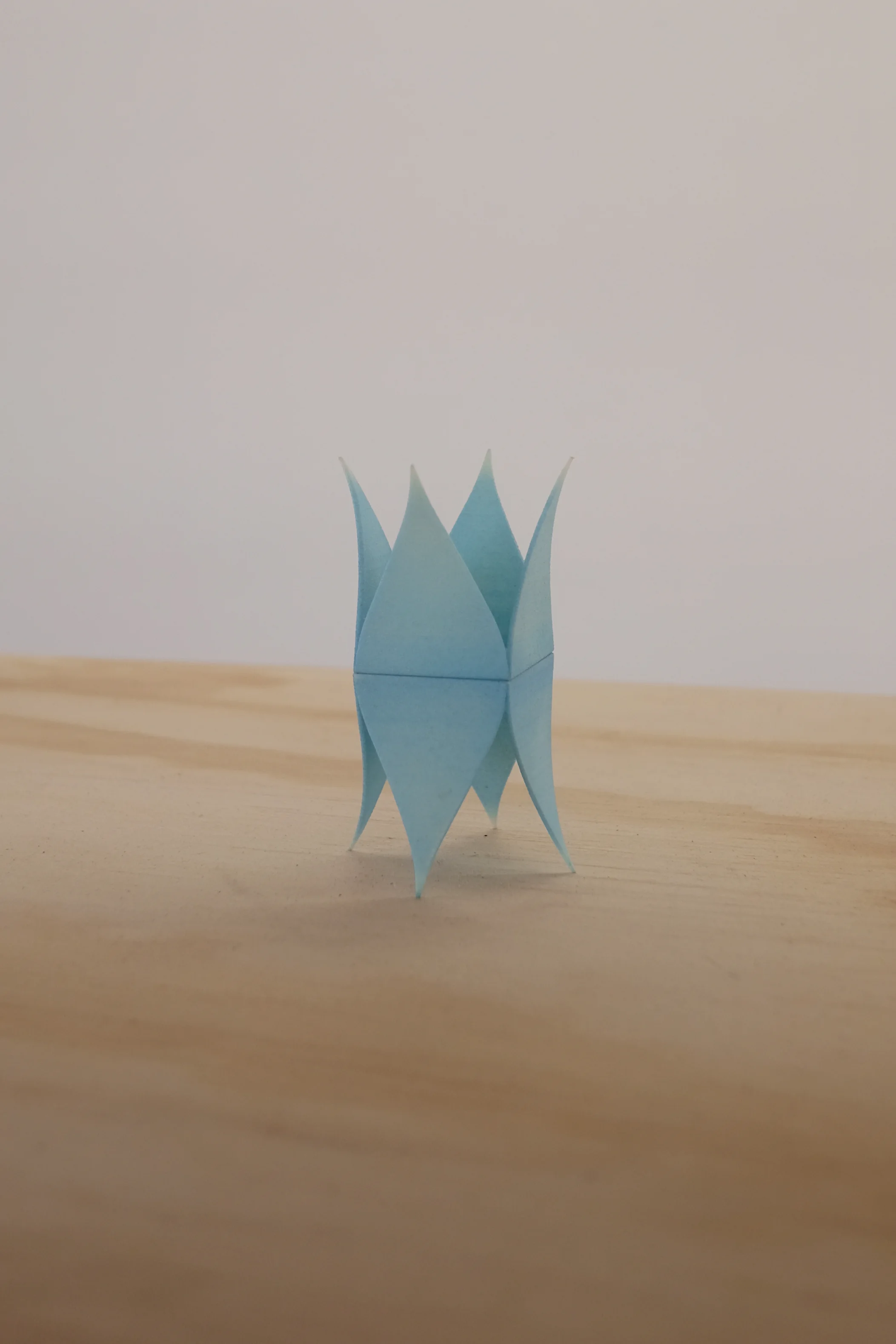 BUTTERLFLY03.jpg