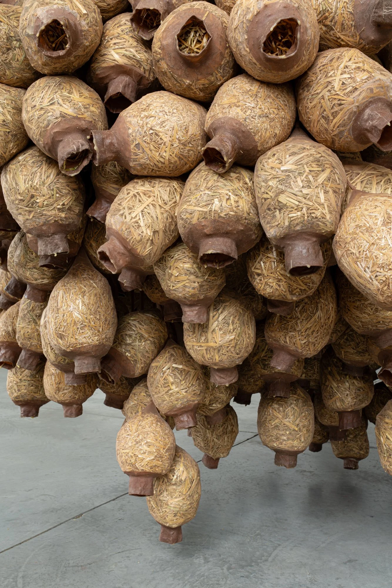 CARVALHO_Kat Howard_2026_14_LR.jpg