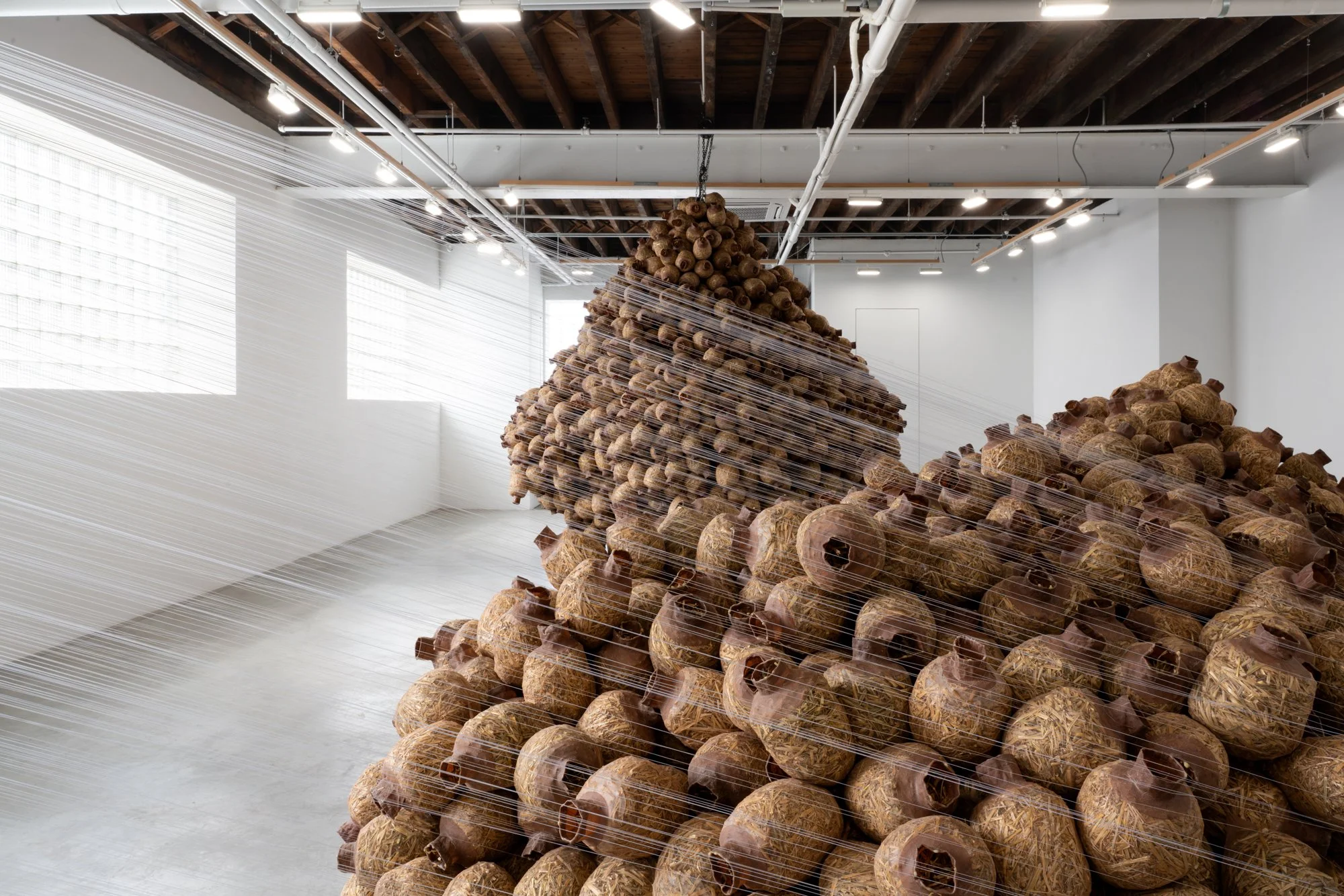 CARVALHO_Kat Howard_2026_06_LR.jpg