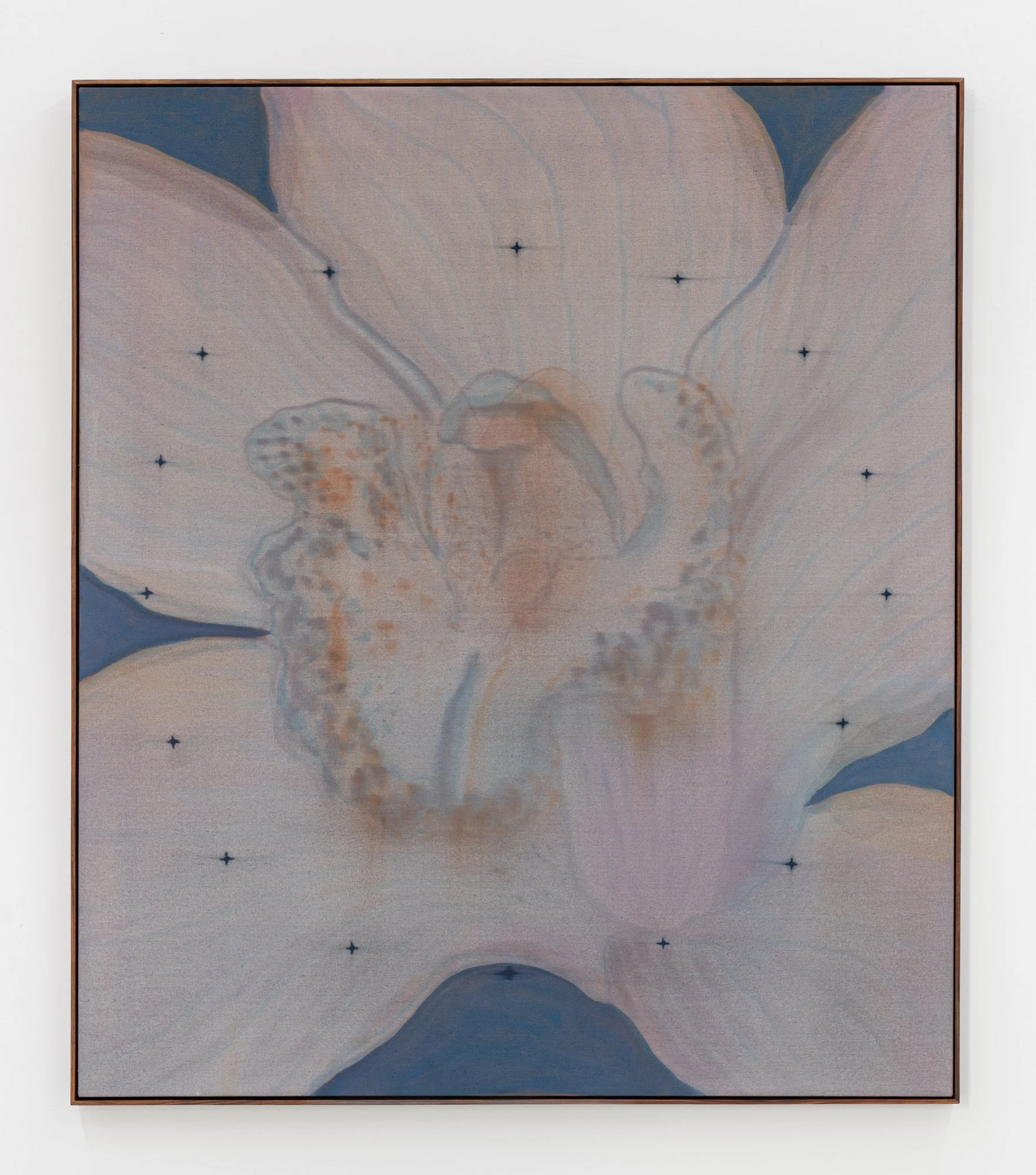 Heath Wae_HW027_Meridian 06 — P_2026_1_LR.jpg