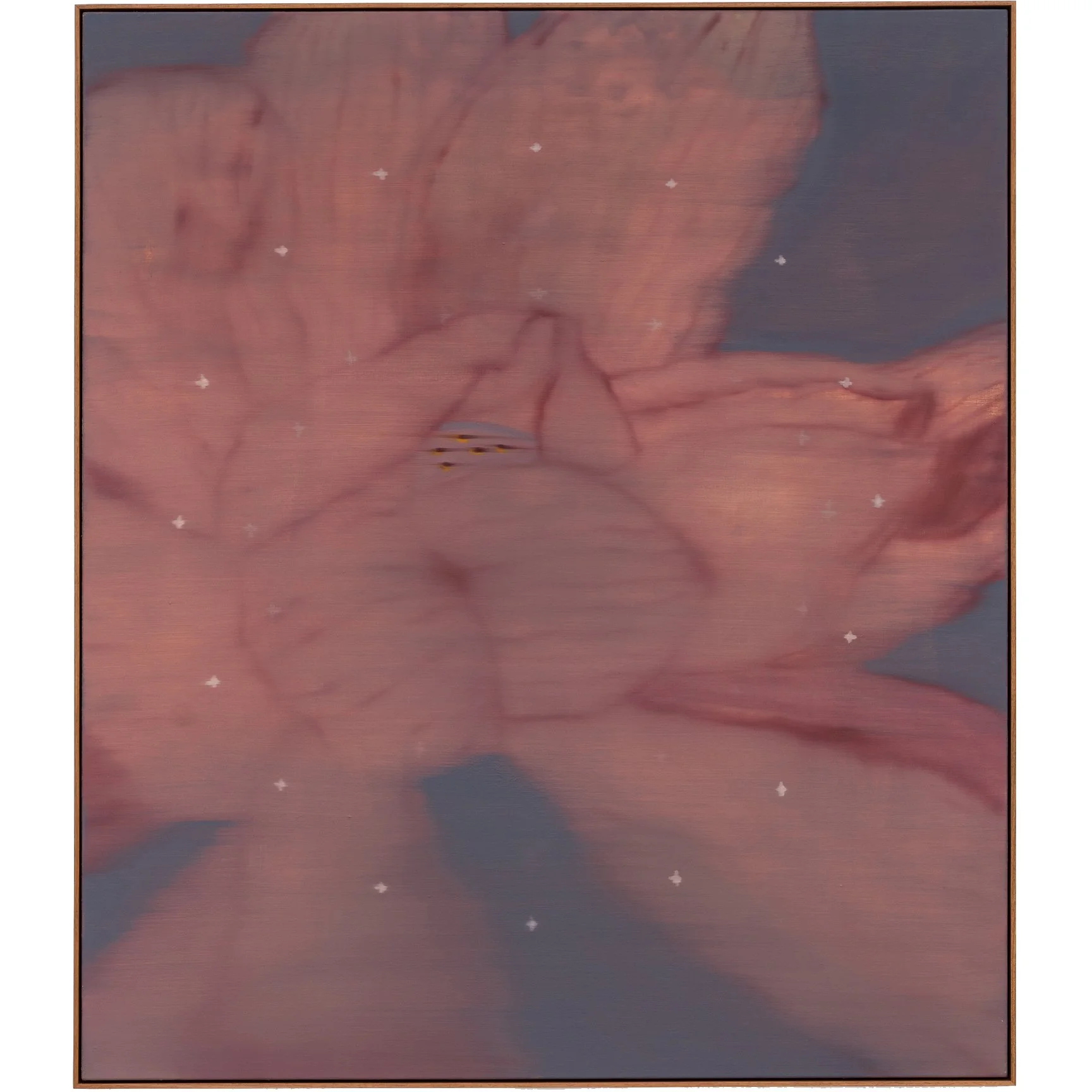 Meridian 08 — Cu