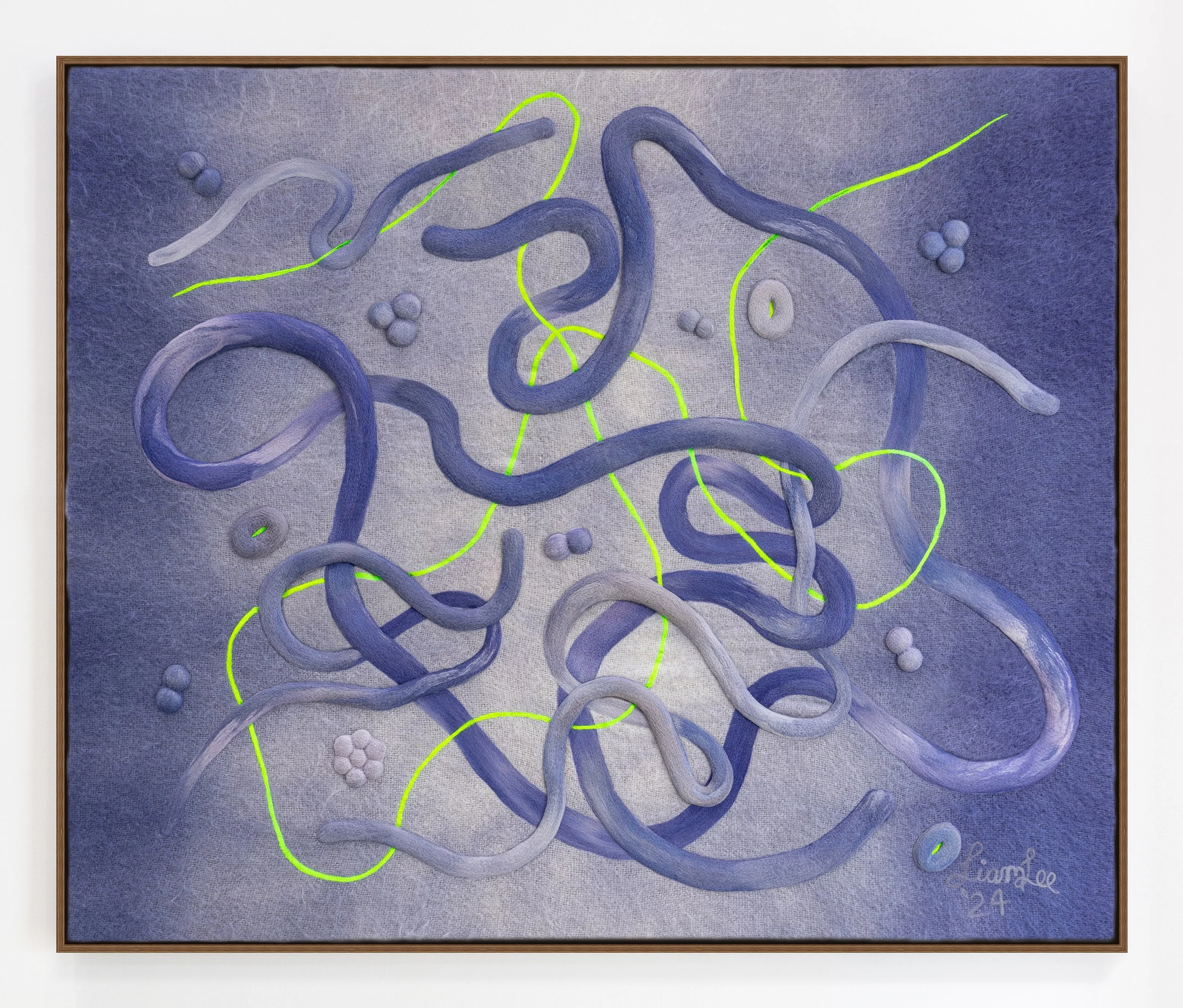 LIAM LEE_GHOST CURE_2024_LL003_1.jpg