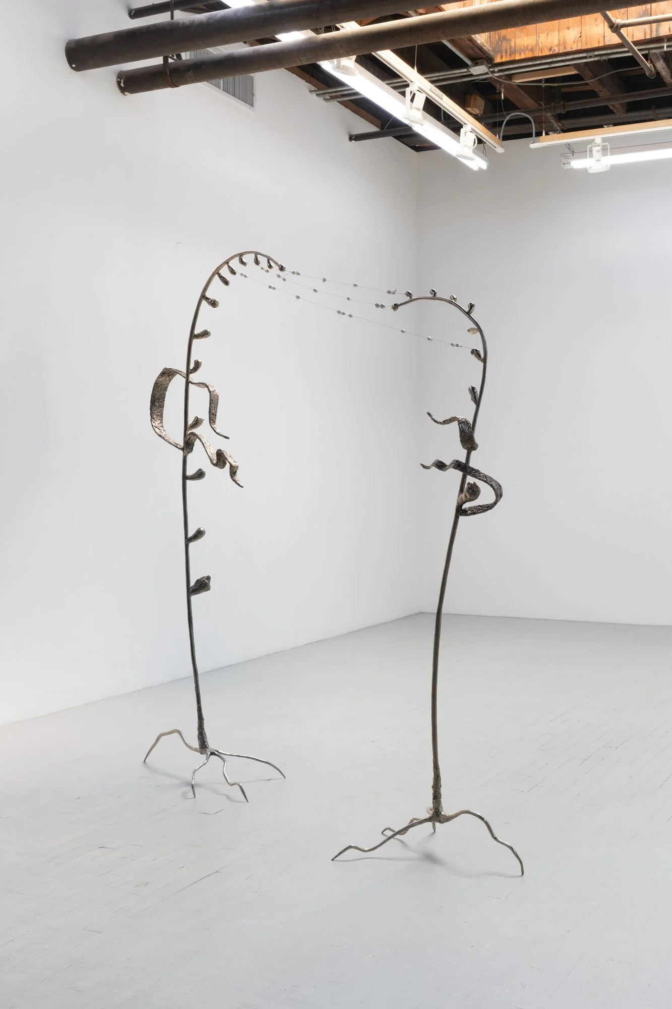 AB001_Tension and Attraction_2025_02.jpg
