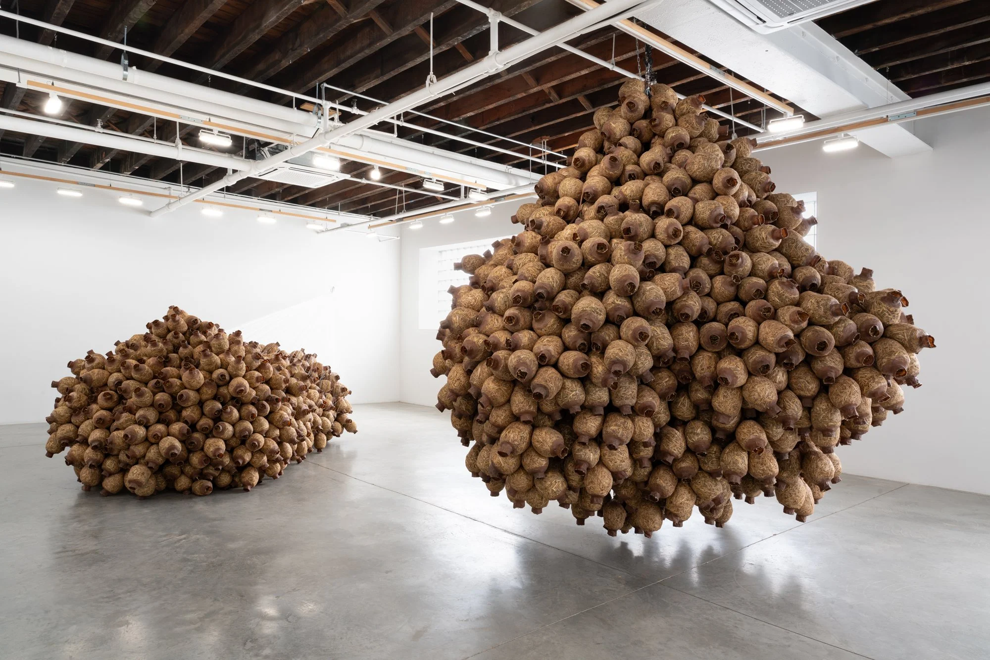 CARVALHO_Kat Howard_2026_02_LR.jpg